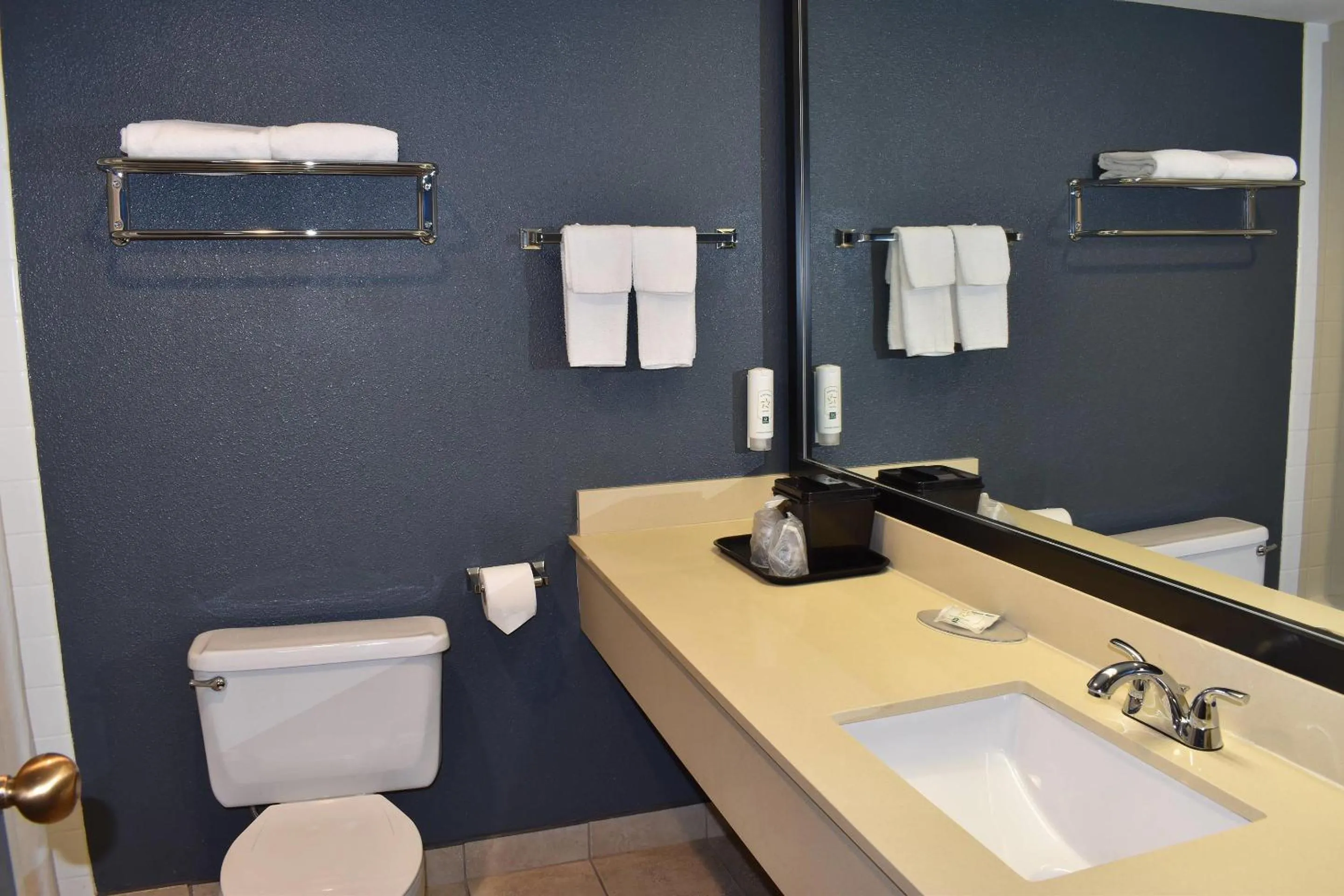 Bedroom in Quality Inn & Suites Garden Of The Gods