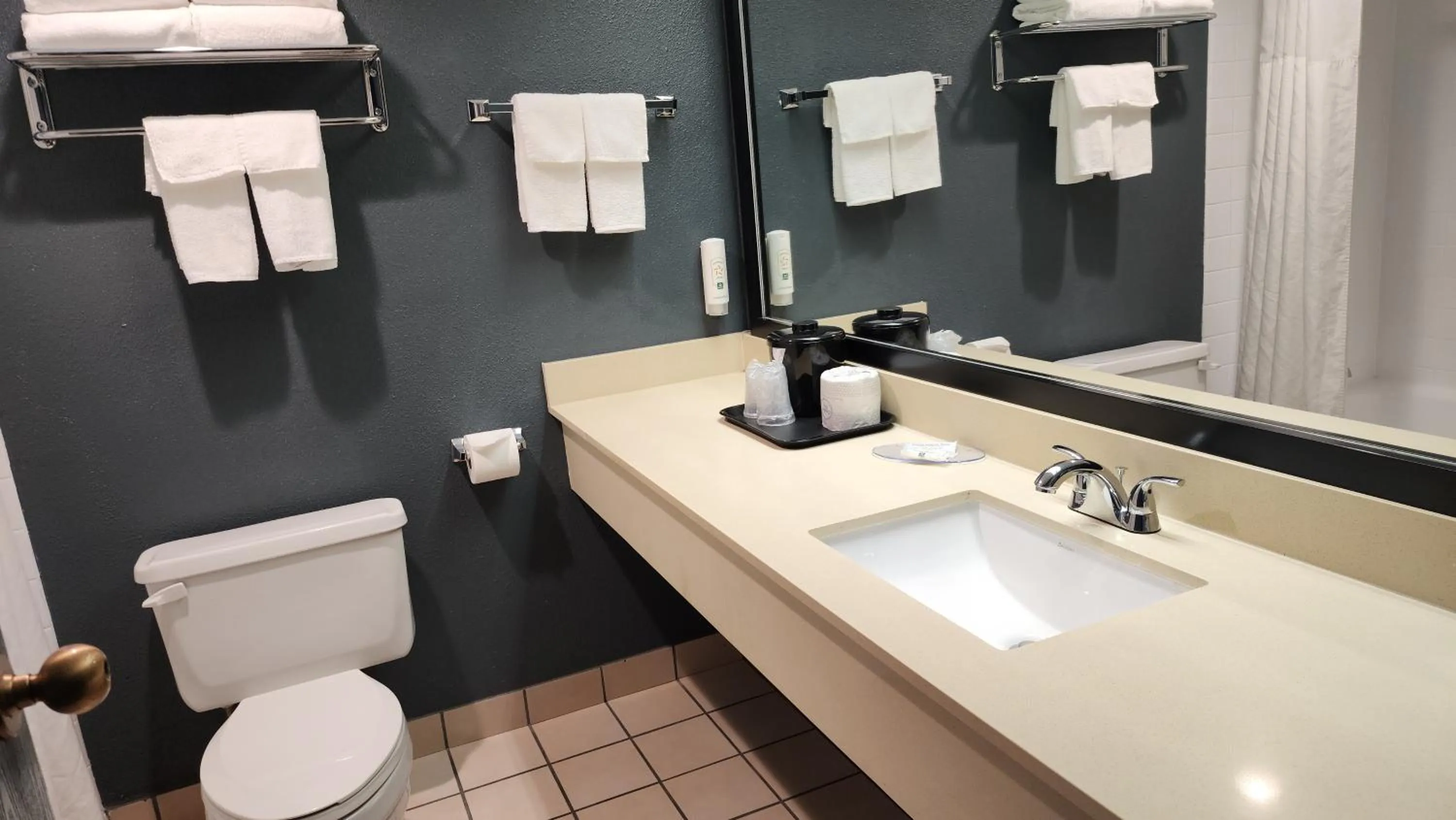 Quality Inn & Suites Garden Of The Gods