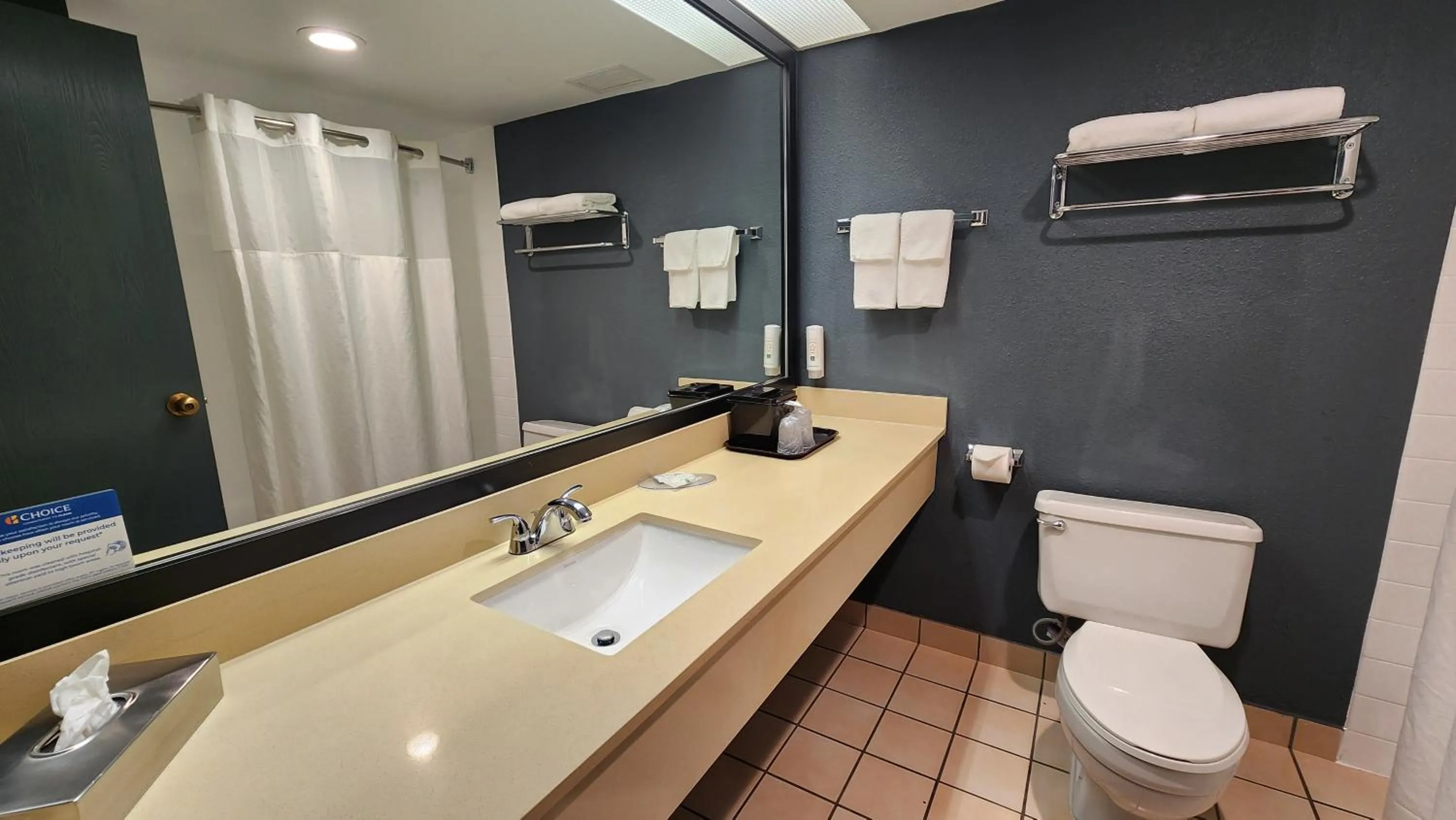 Bathroom in Quality Inn & Suites Garden Of The Gods