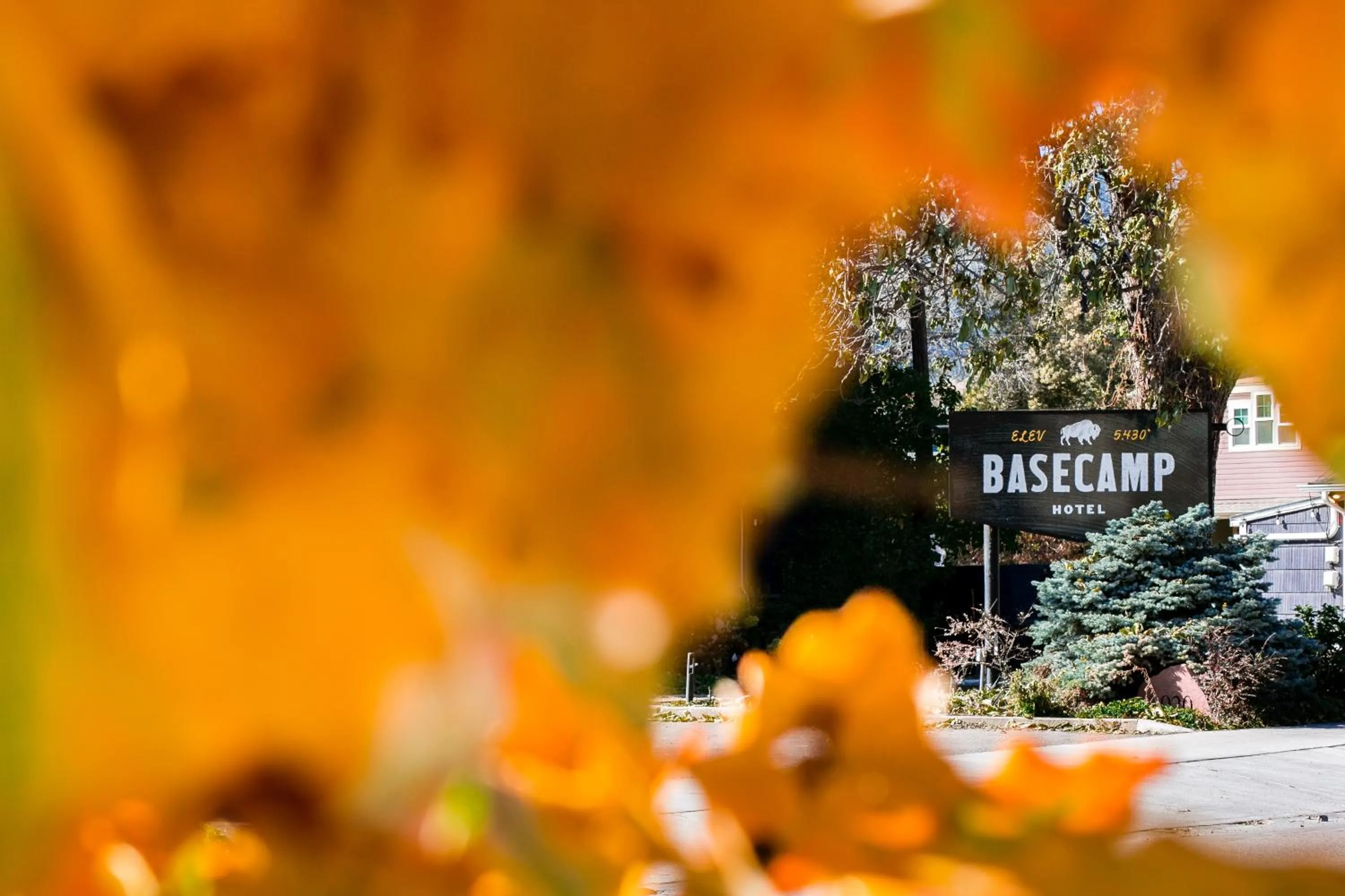 Property building in Basecamp Boulder