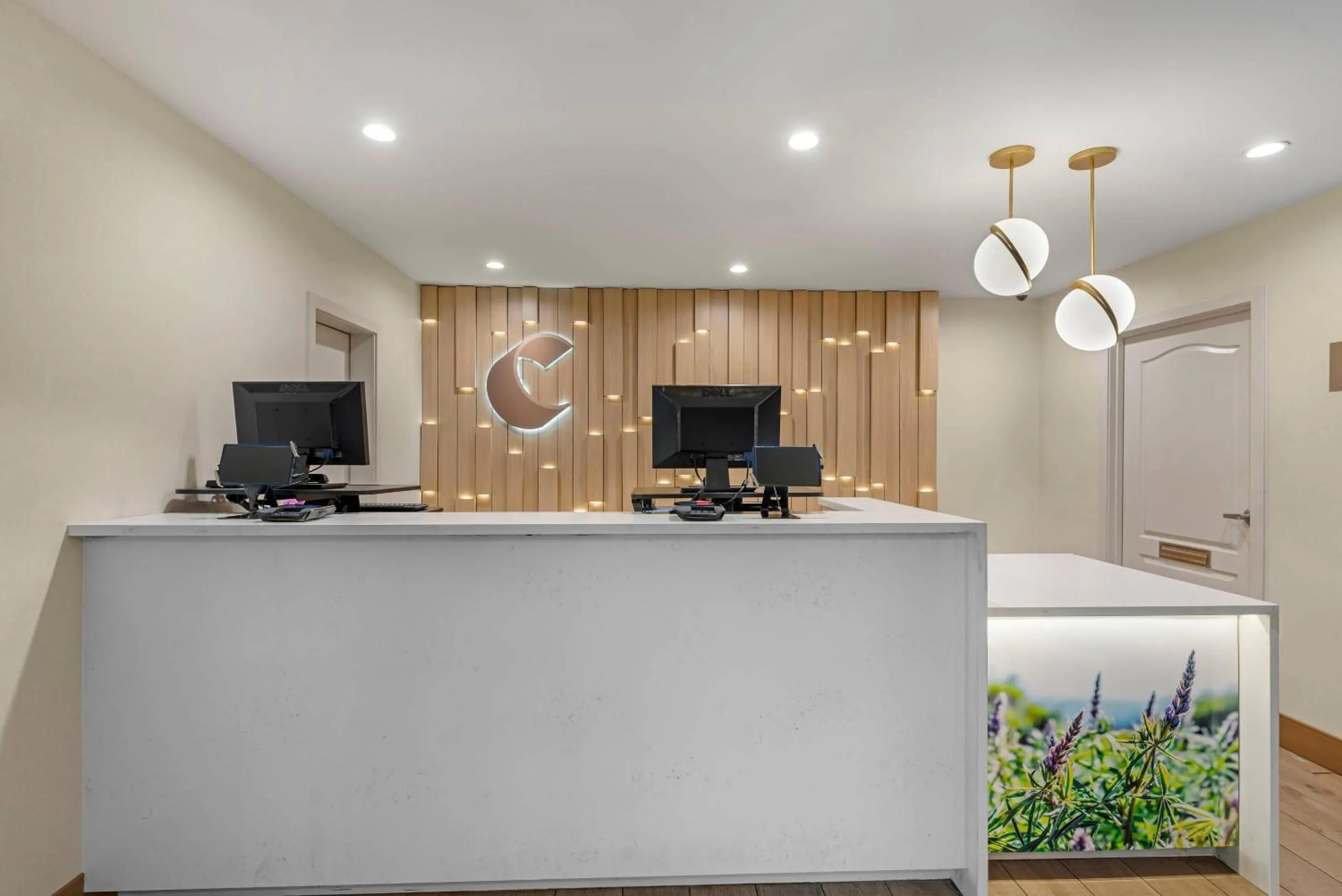 Lobby or reception in Comfort Inn & Suites Carbondale on the Roaring Fork