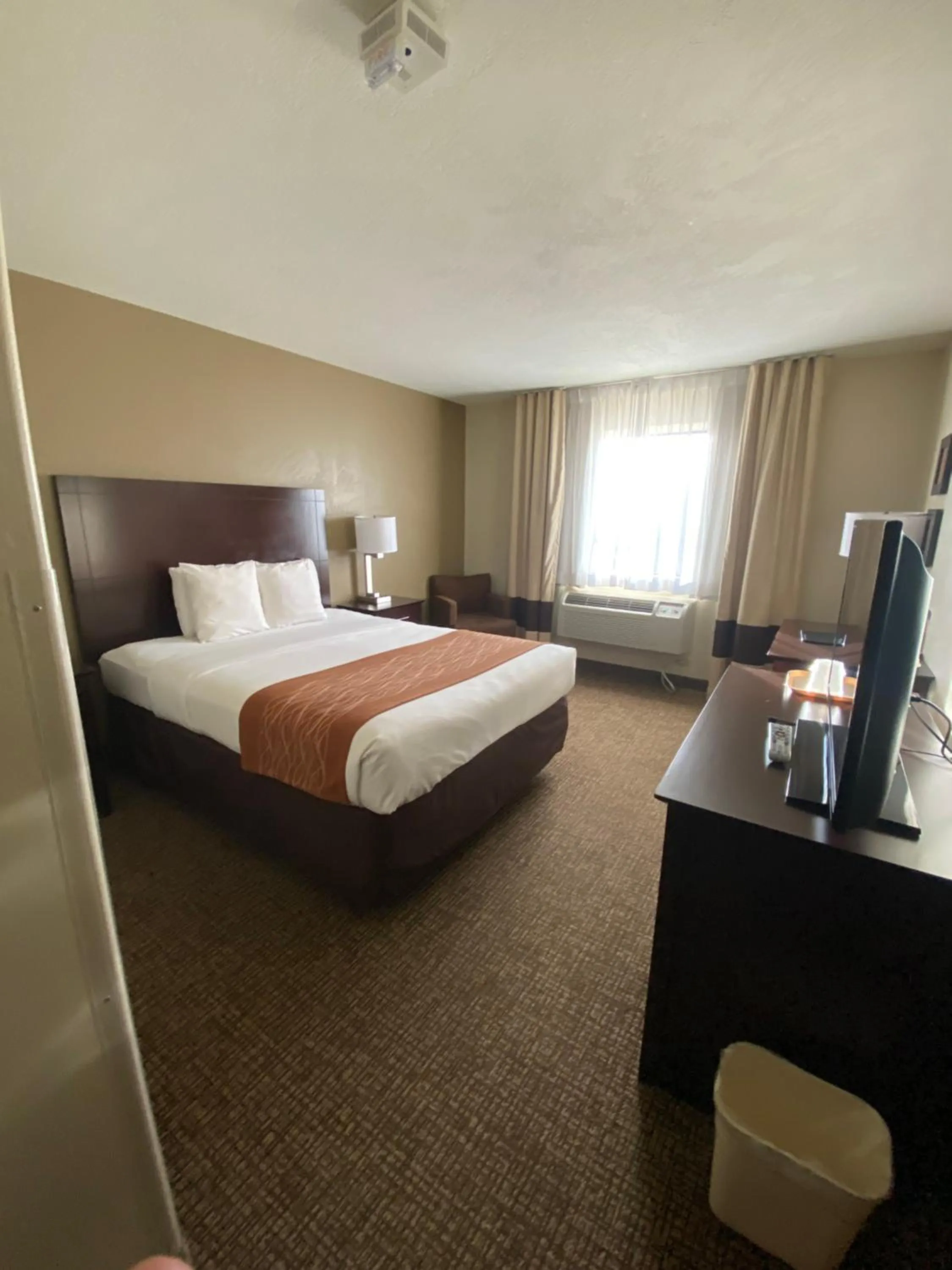 Bed in Comfort Inn & Suites Gunnison-Crested Butte