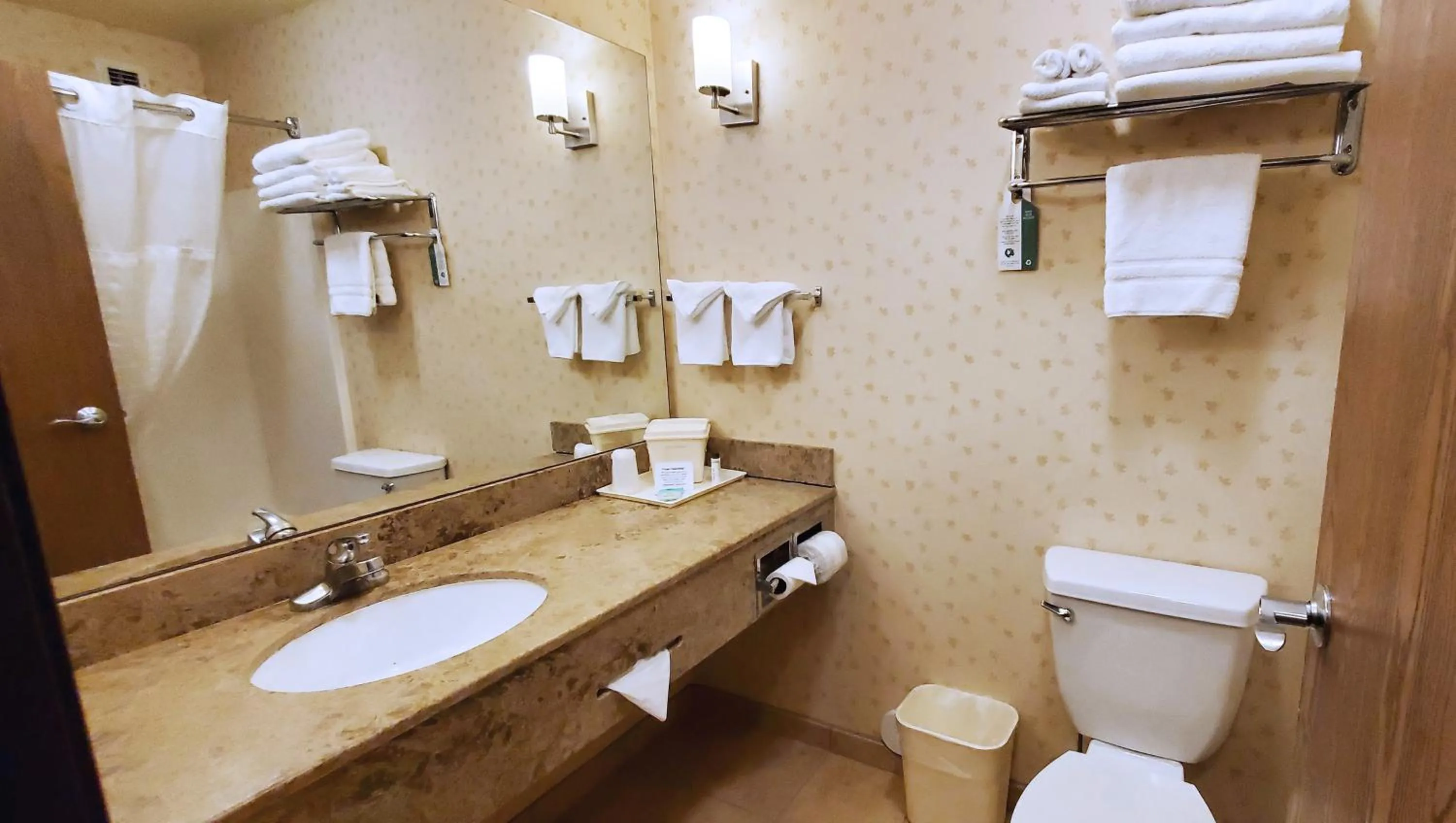 Bathroom in Magnuson Grand Pikes Peak