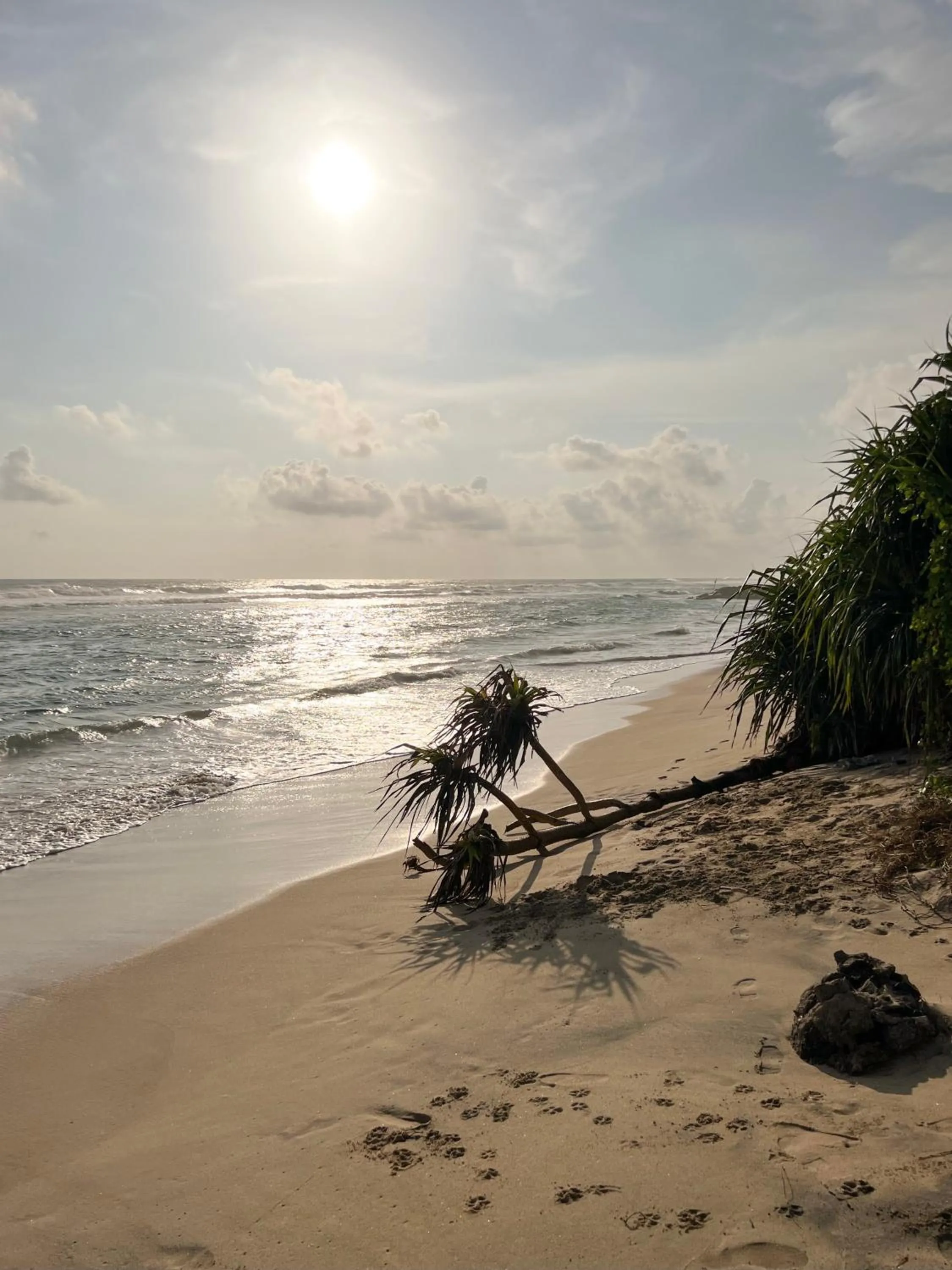Beach in Harding Boutique Hotel
