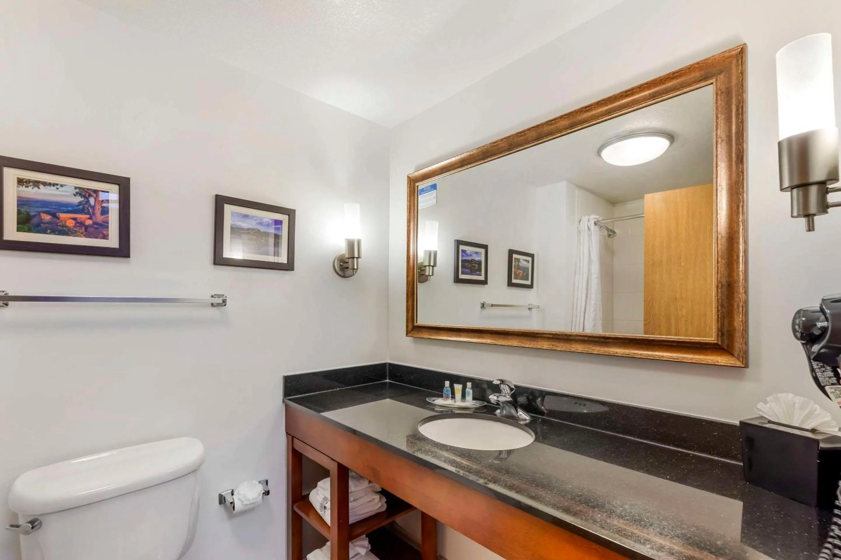 Bedroom in Comfort Suites Longmont