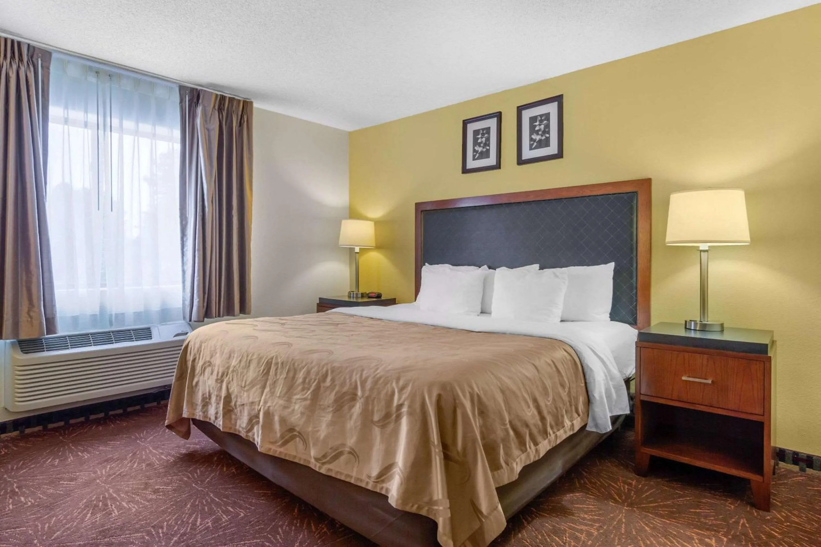 Photo of the whole room, Bed in Quality Inn & Suites Lakewood - Denver Southwest