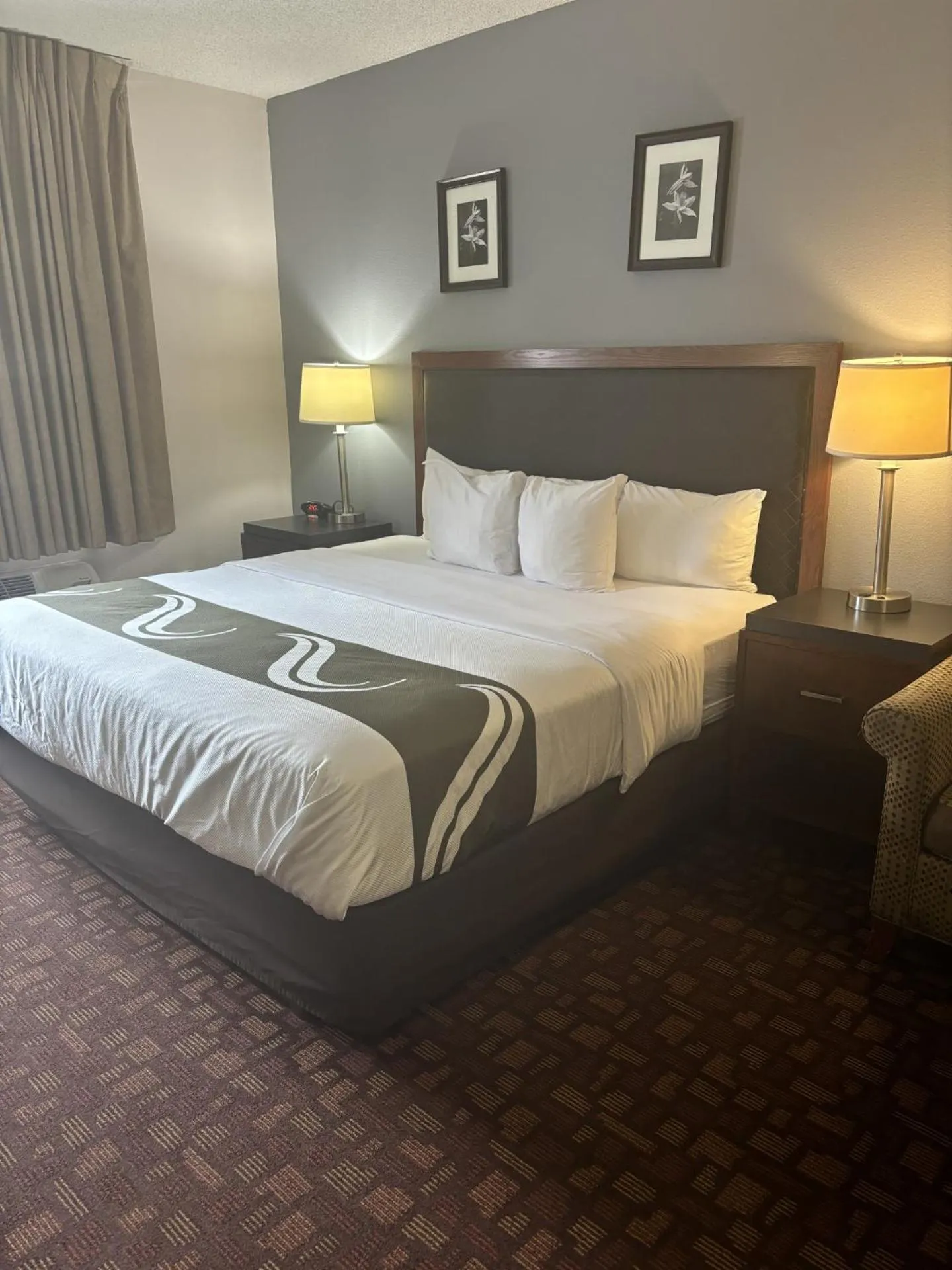 Bed in Quality Inn & Suites Lakewood - Denver Southwest