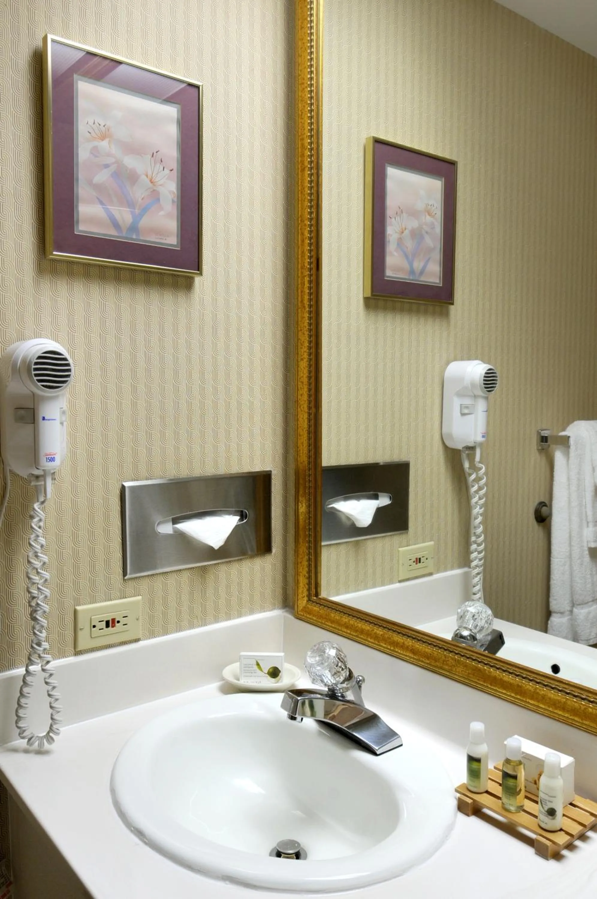 Toilet in Baymont by Wyndham Fort Collins