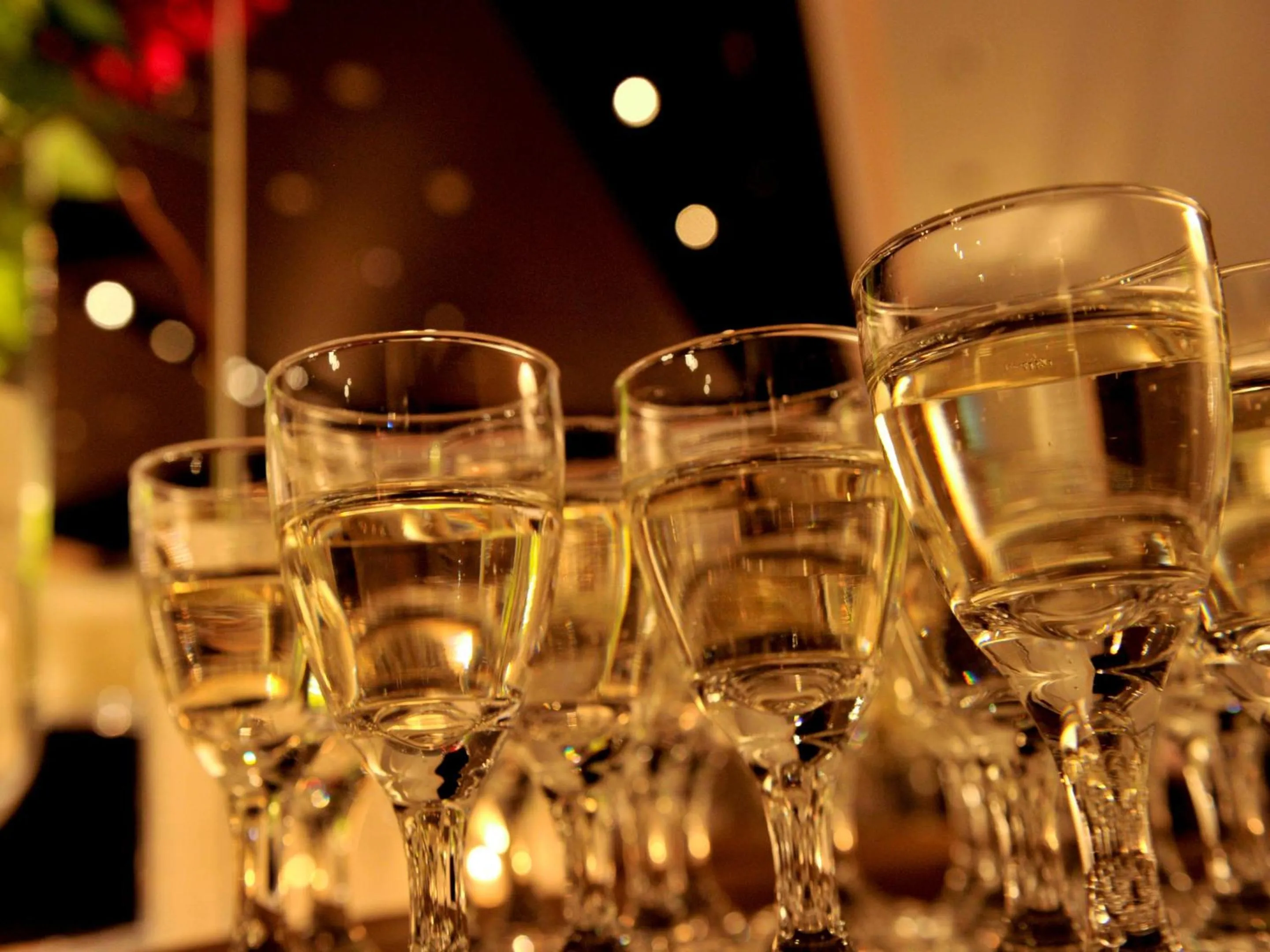 Entertainment in Kurayoshi City Hotel