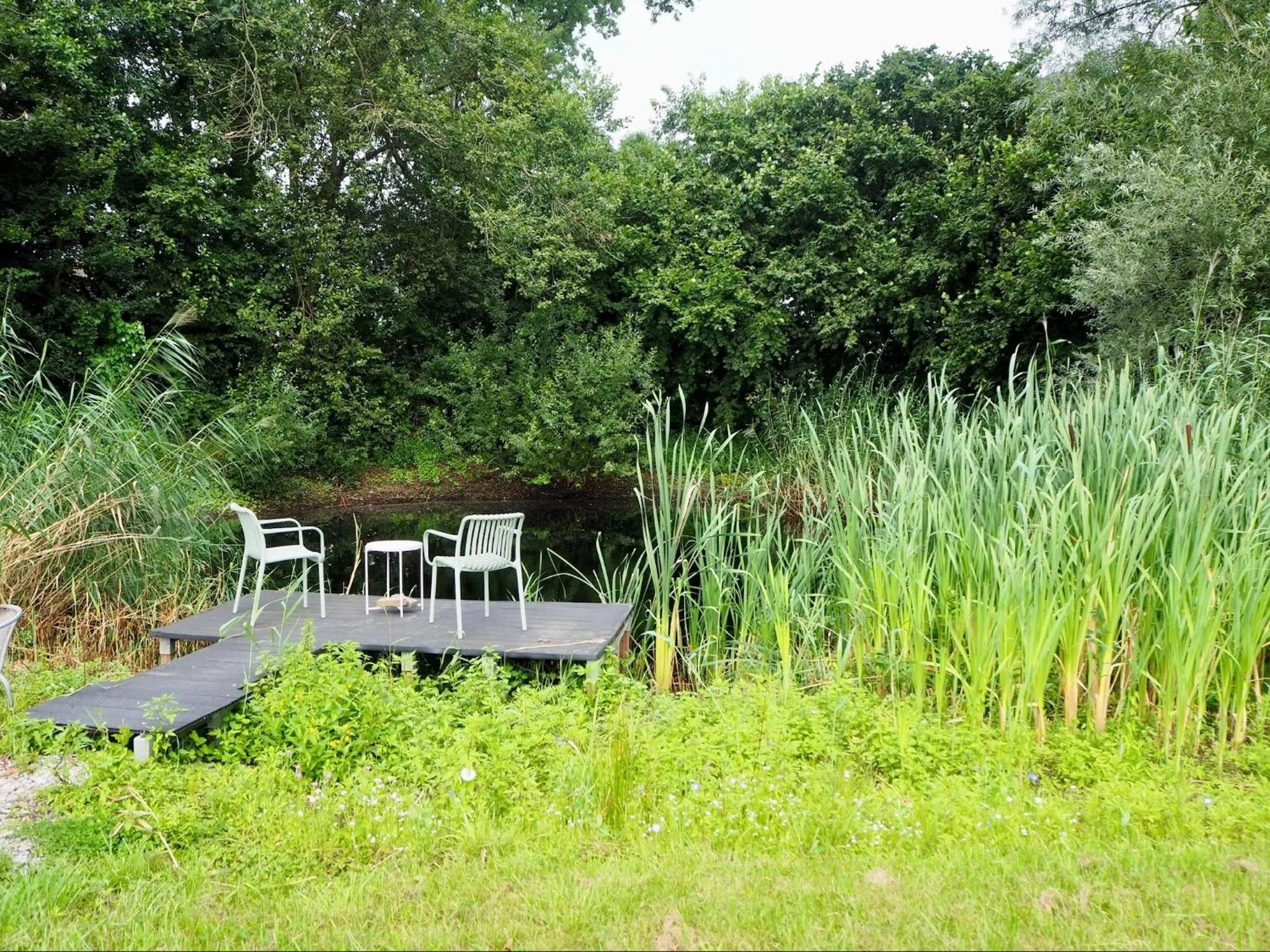 Natural landscape in BnB De Peelvos