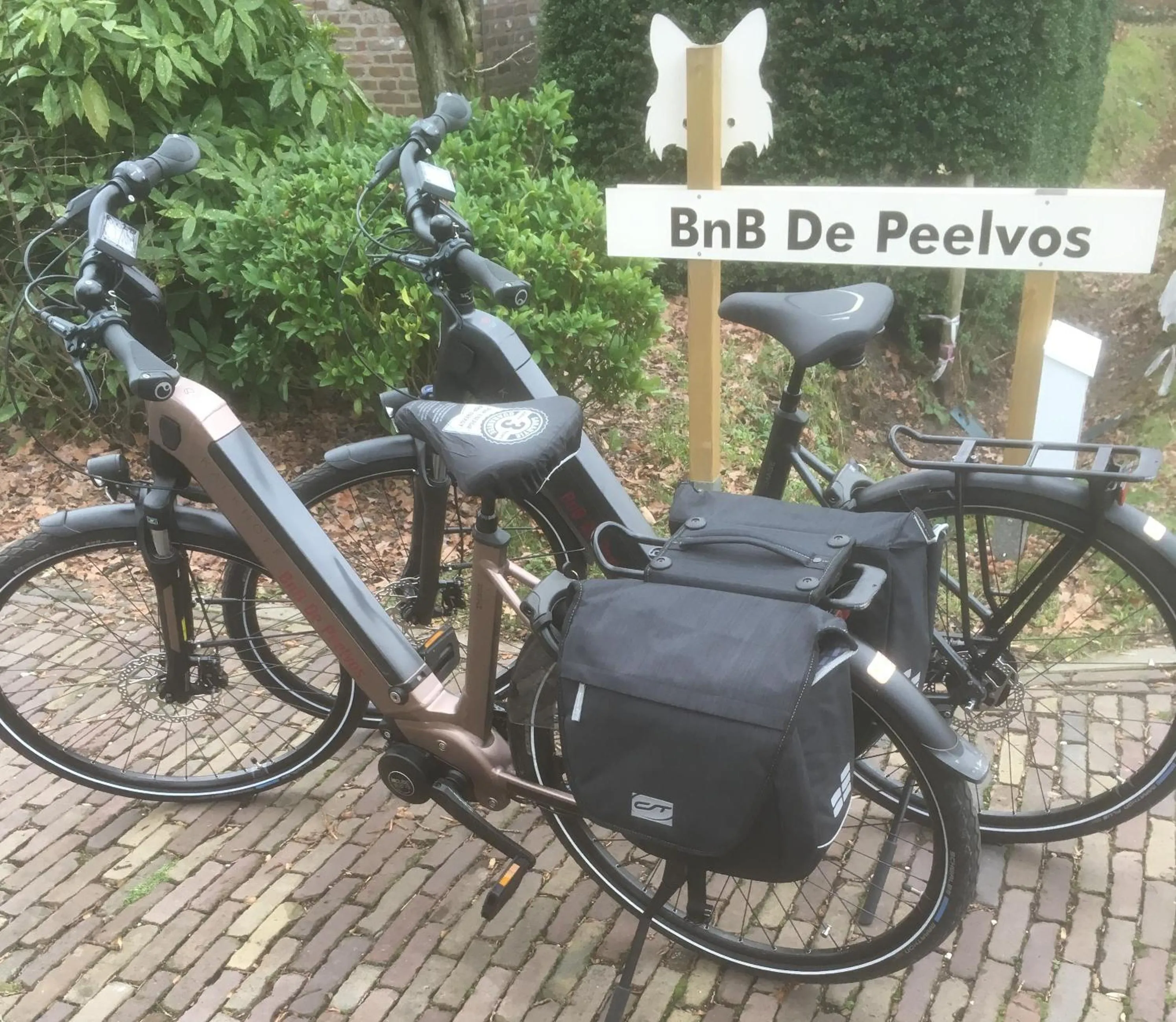 Activities in BnB De Peelvos