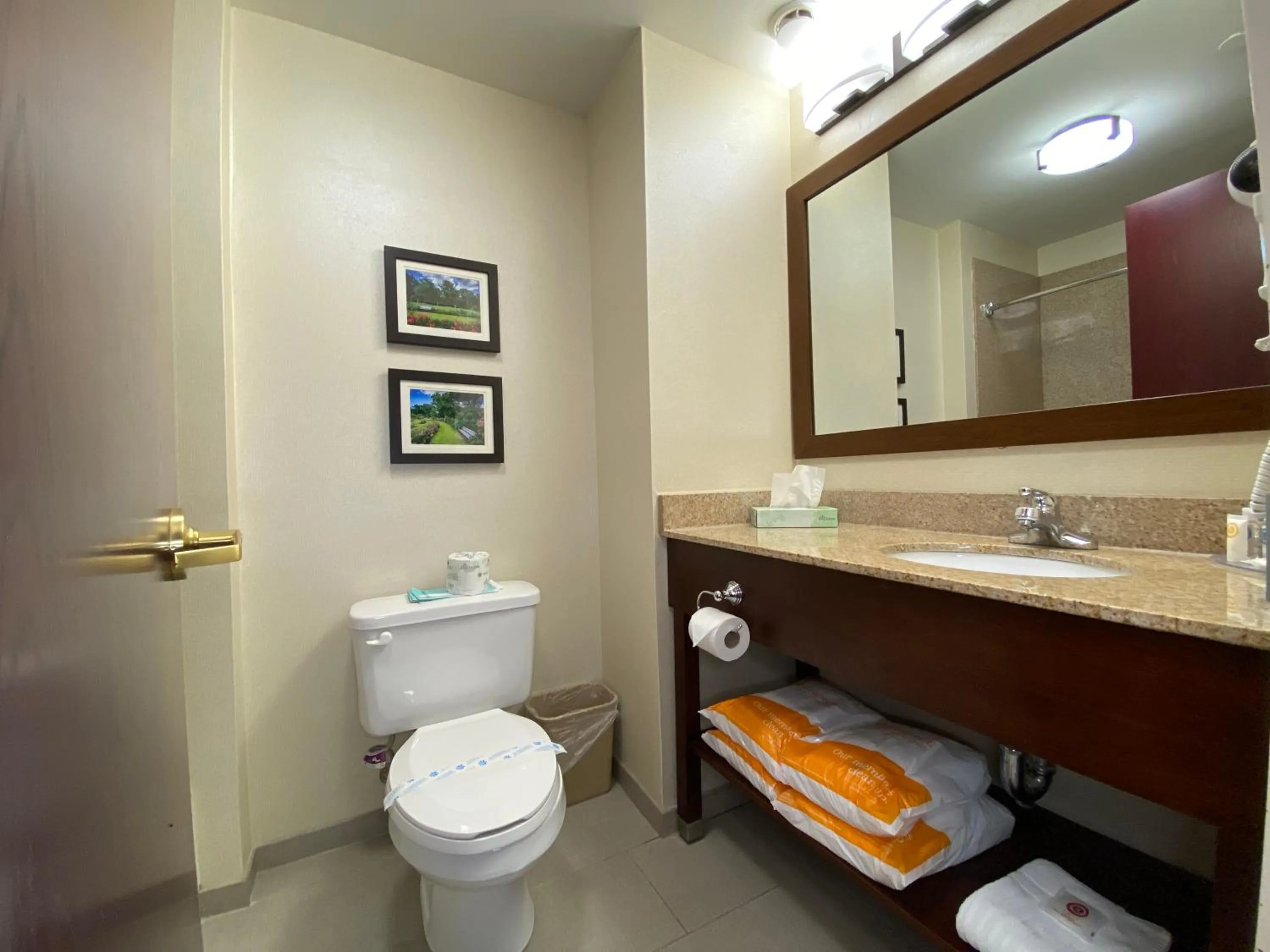 Bathroom in Comfort Inn East Windsor - Springfield