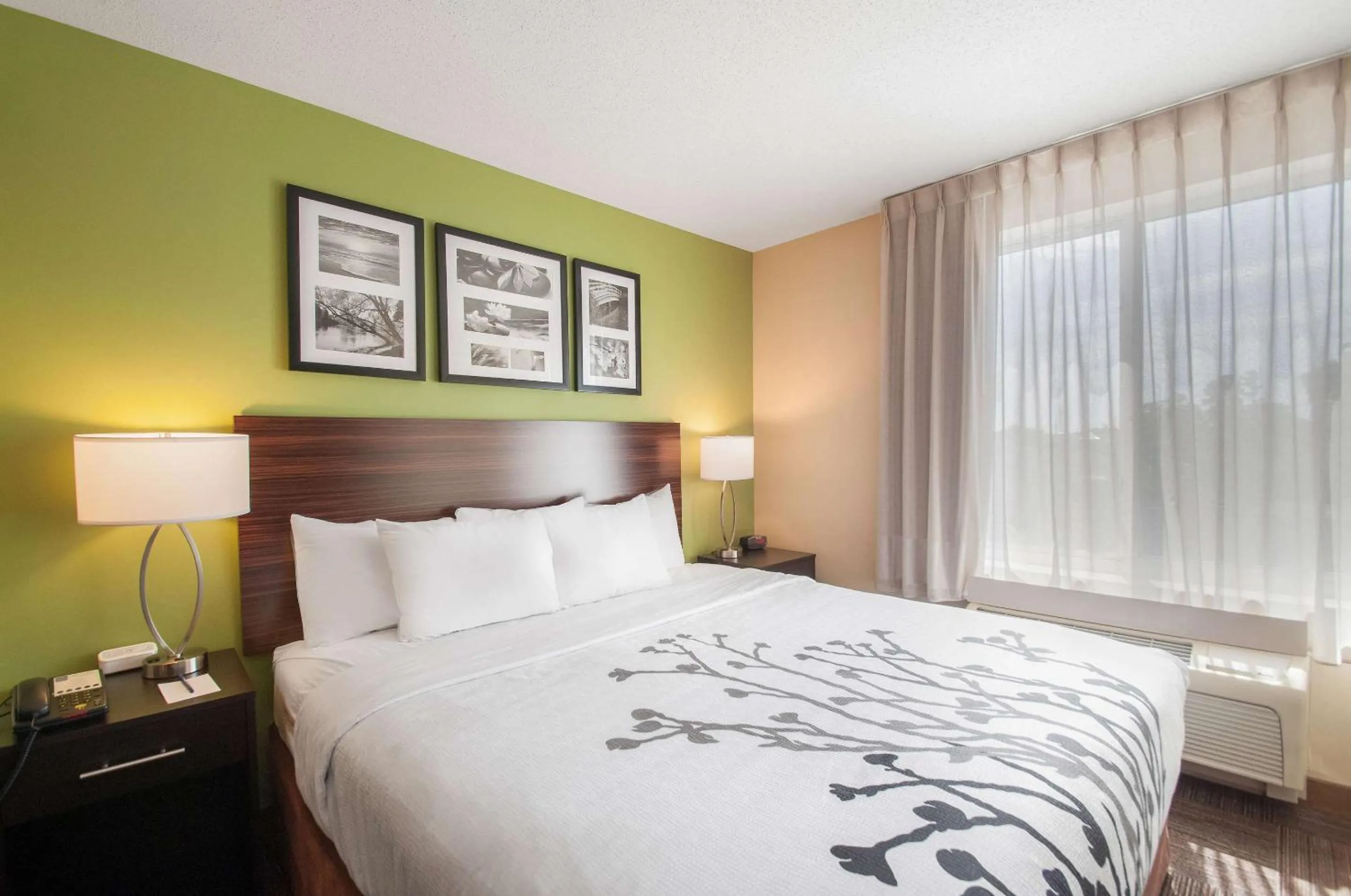 Bedroom, Bed in Sleep Inn & Suites Dover University Area