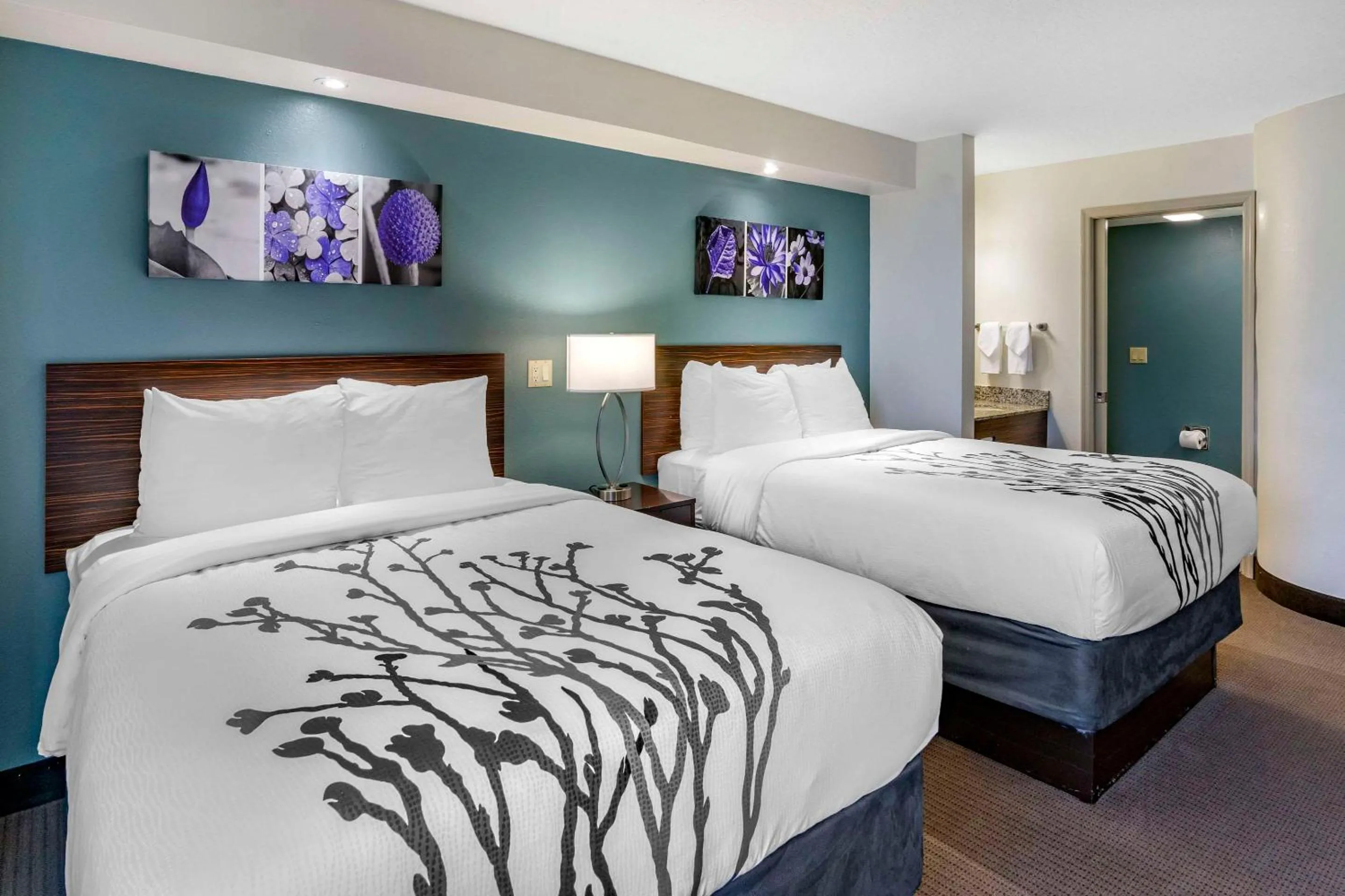 Bedroom, Bed in Sleep Inn Clearwater-St Petersburg