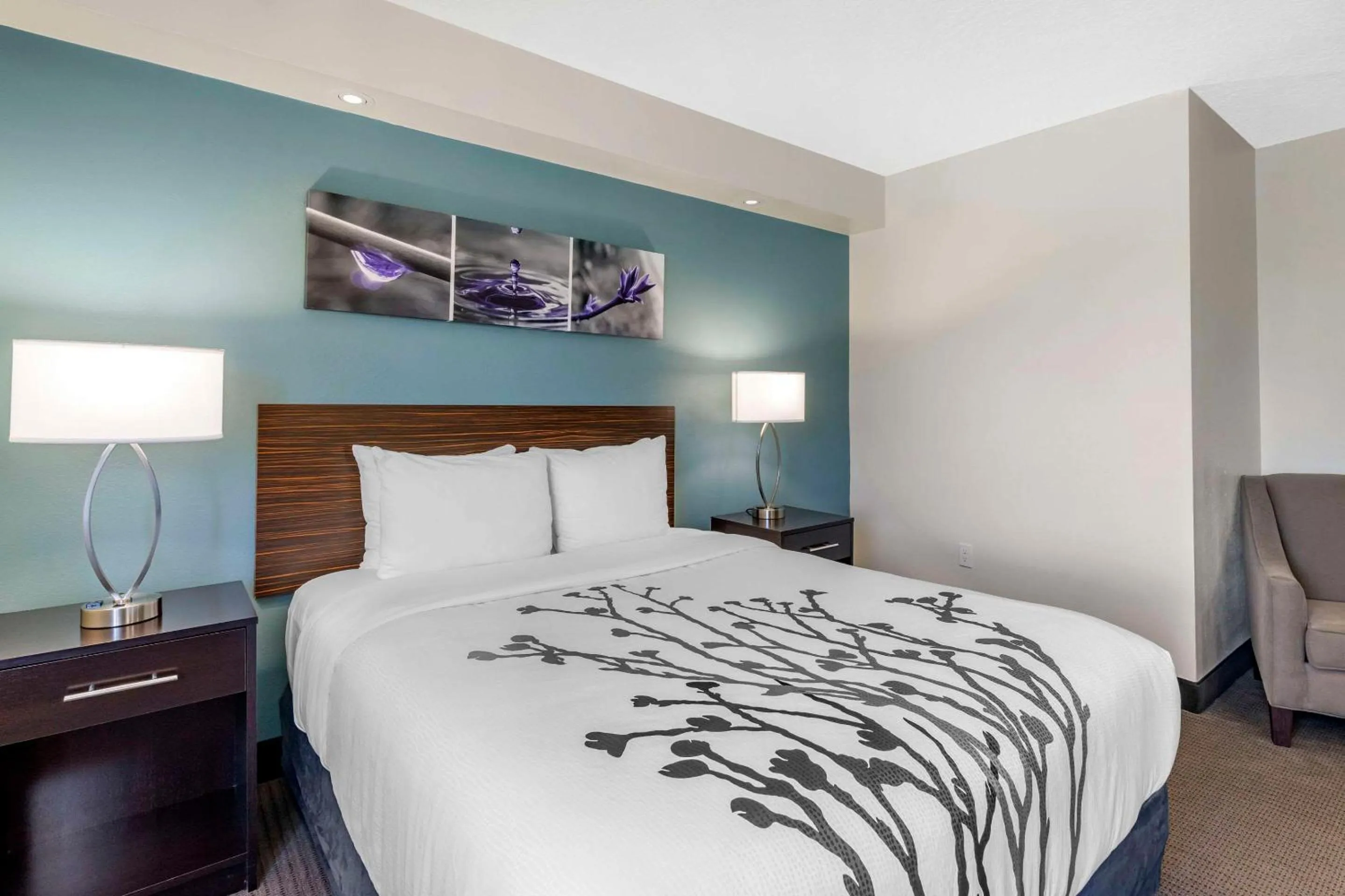 Bedroom, Bed in Sleep Inn Clearwater-St Petersburg