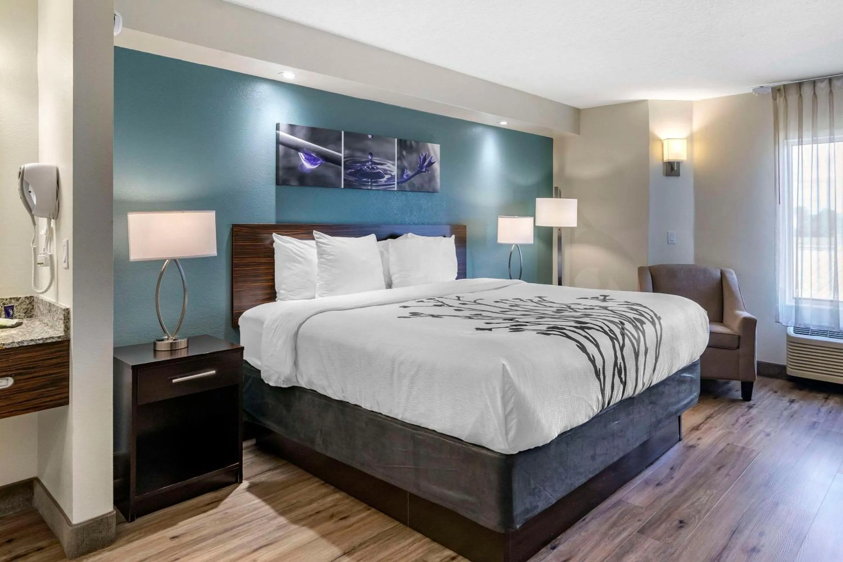 Bedroom, Bed in Sleep Inn Clearwater-St Petersburg