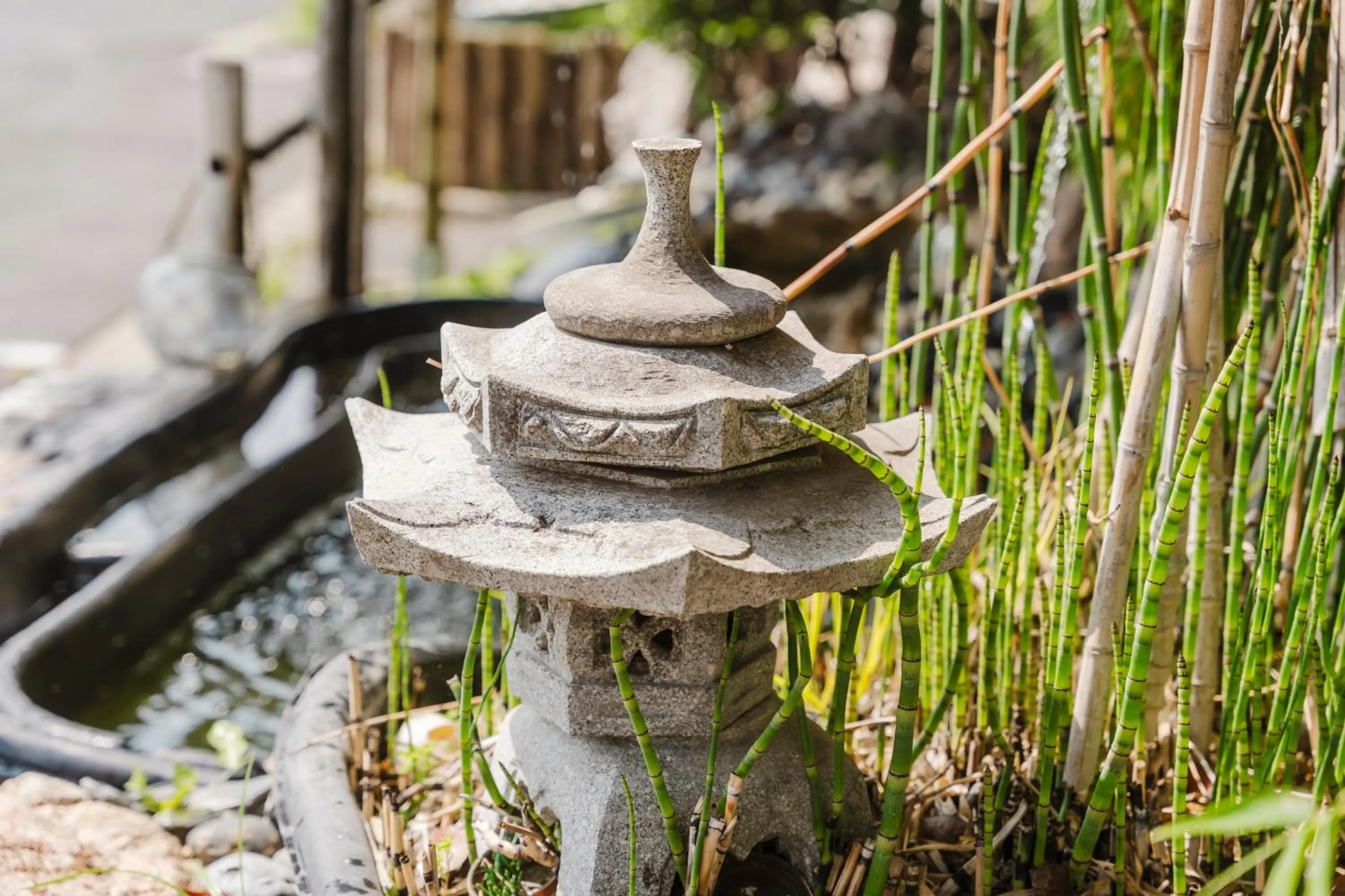 Garden in Cap Hôtel