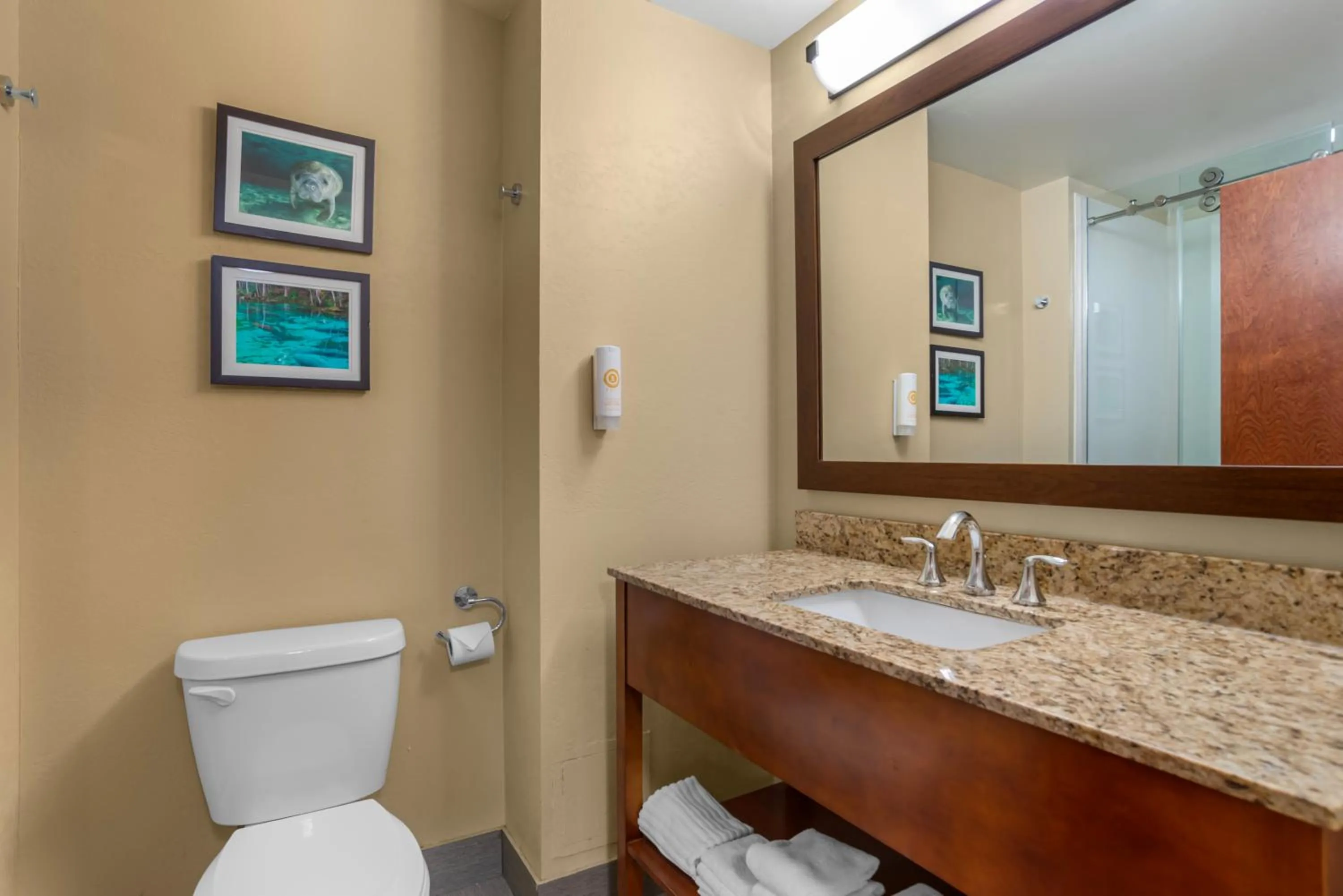 Comfort Suites Tallahassee Capitol - University Area