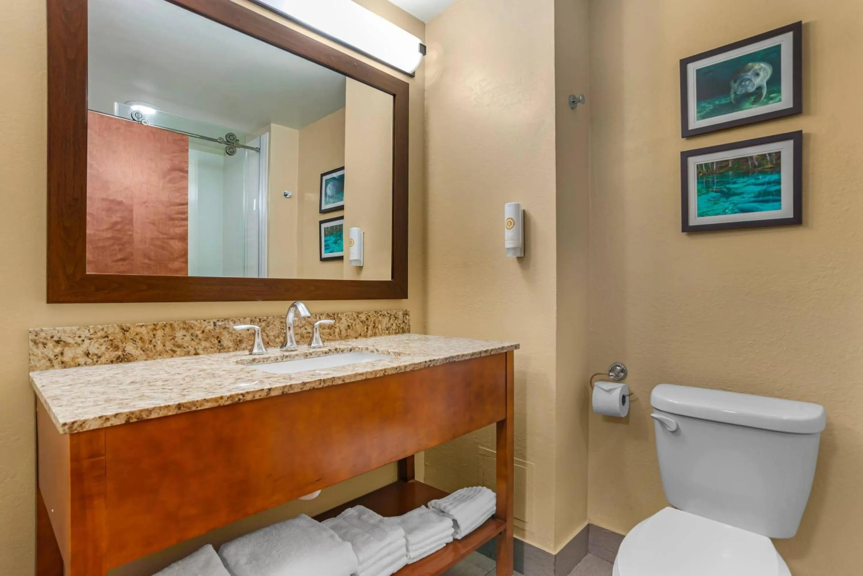 Bedroom in Comfort Suites Tallahassee Capitol - University Area