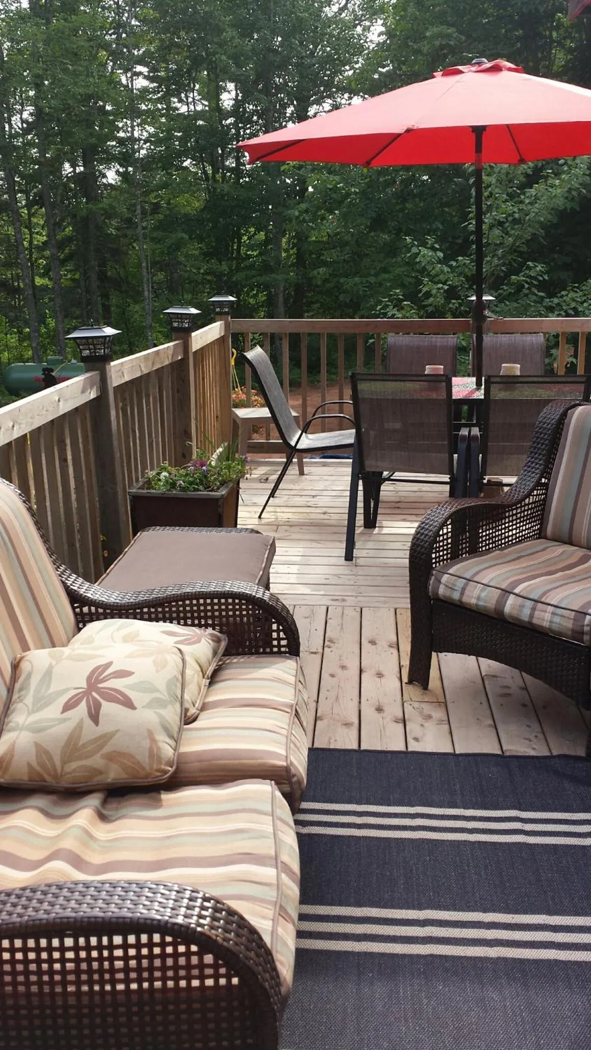 Balcony/Terrace in Chestnut Lane Bed and Breakfast