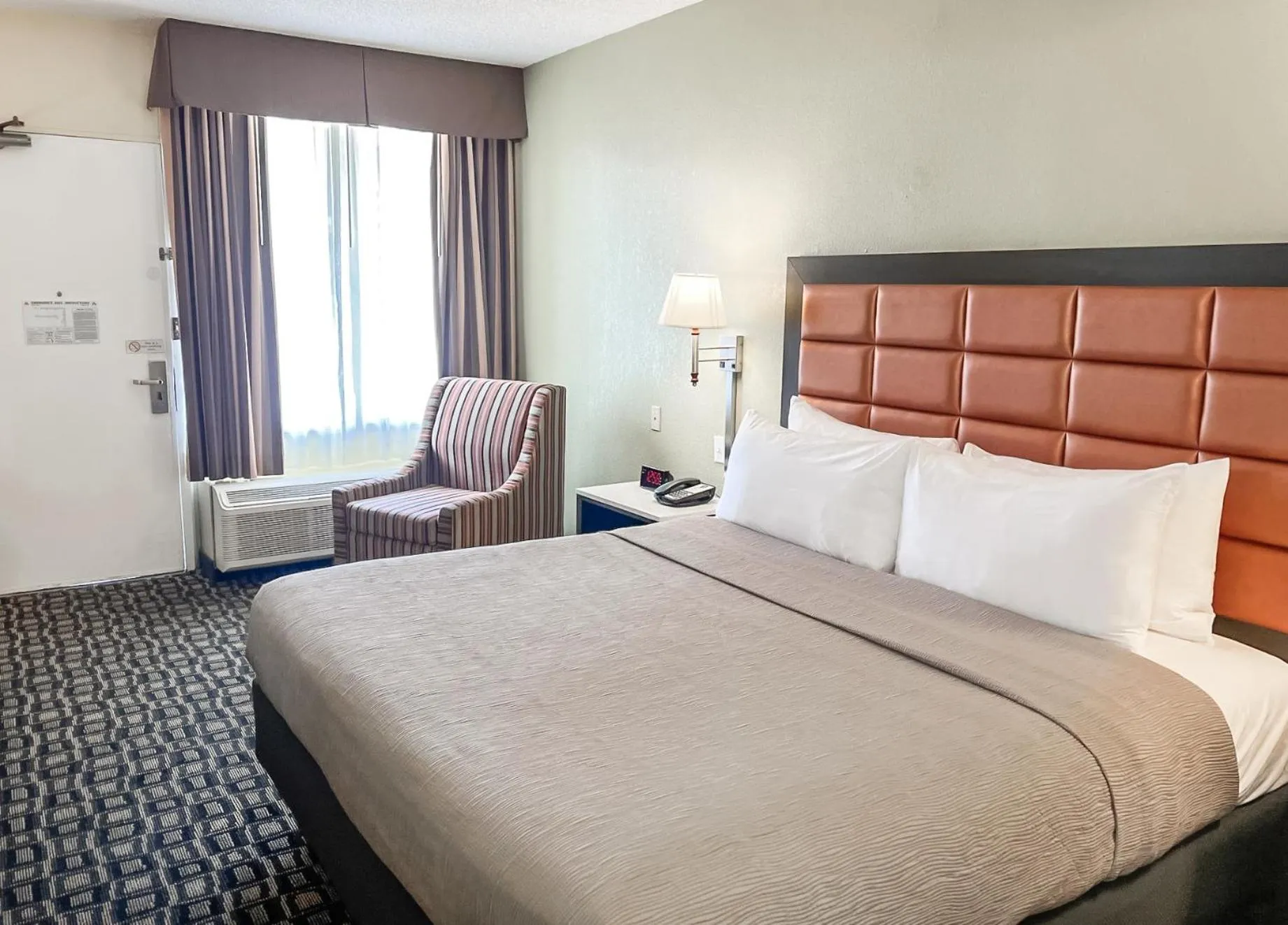 Bedroom, Bed in Quality Inn Tampa Airport - Cruise Port