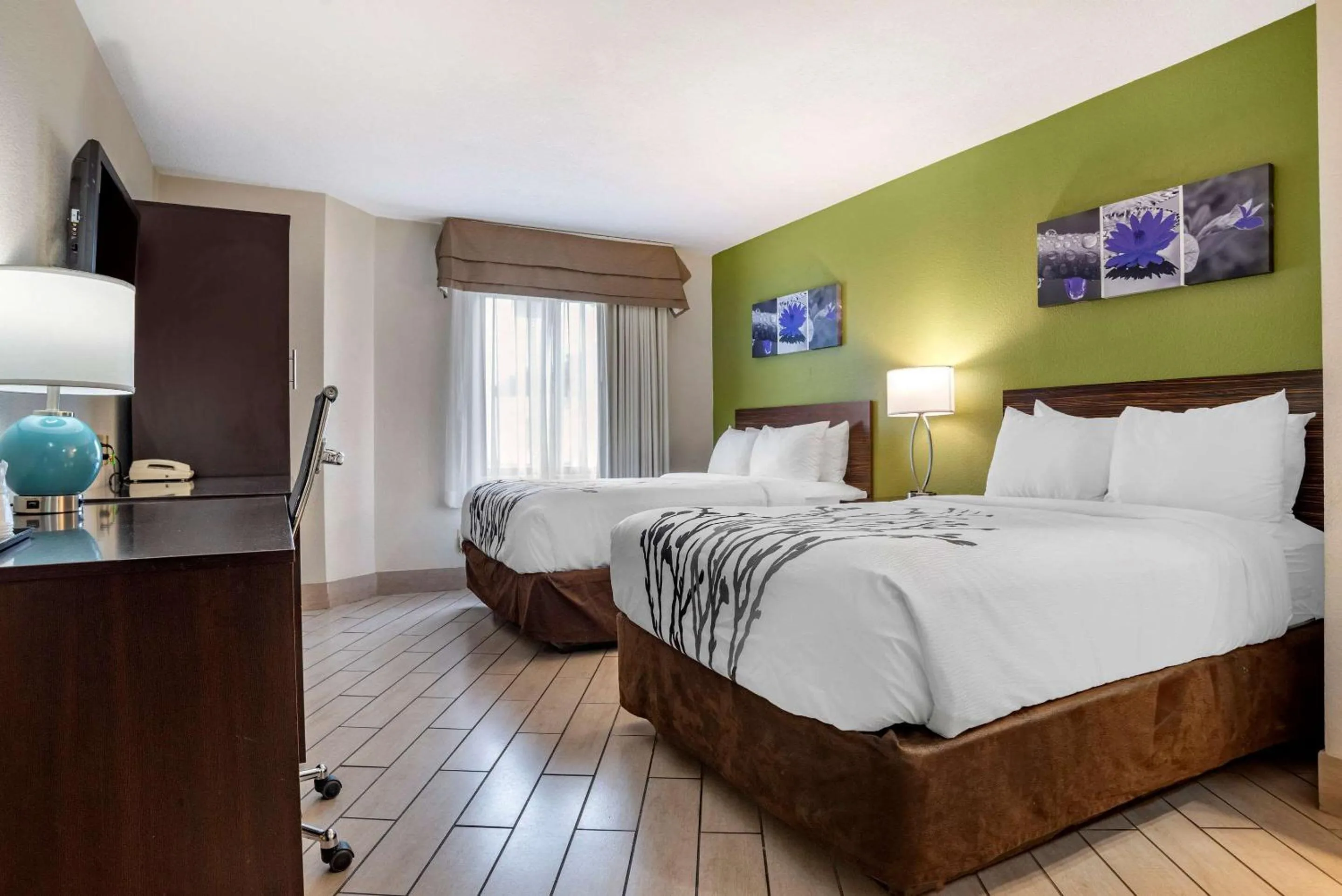 Photo of the whole room in Sleep Inn Destin near Miramar Beach