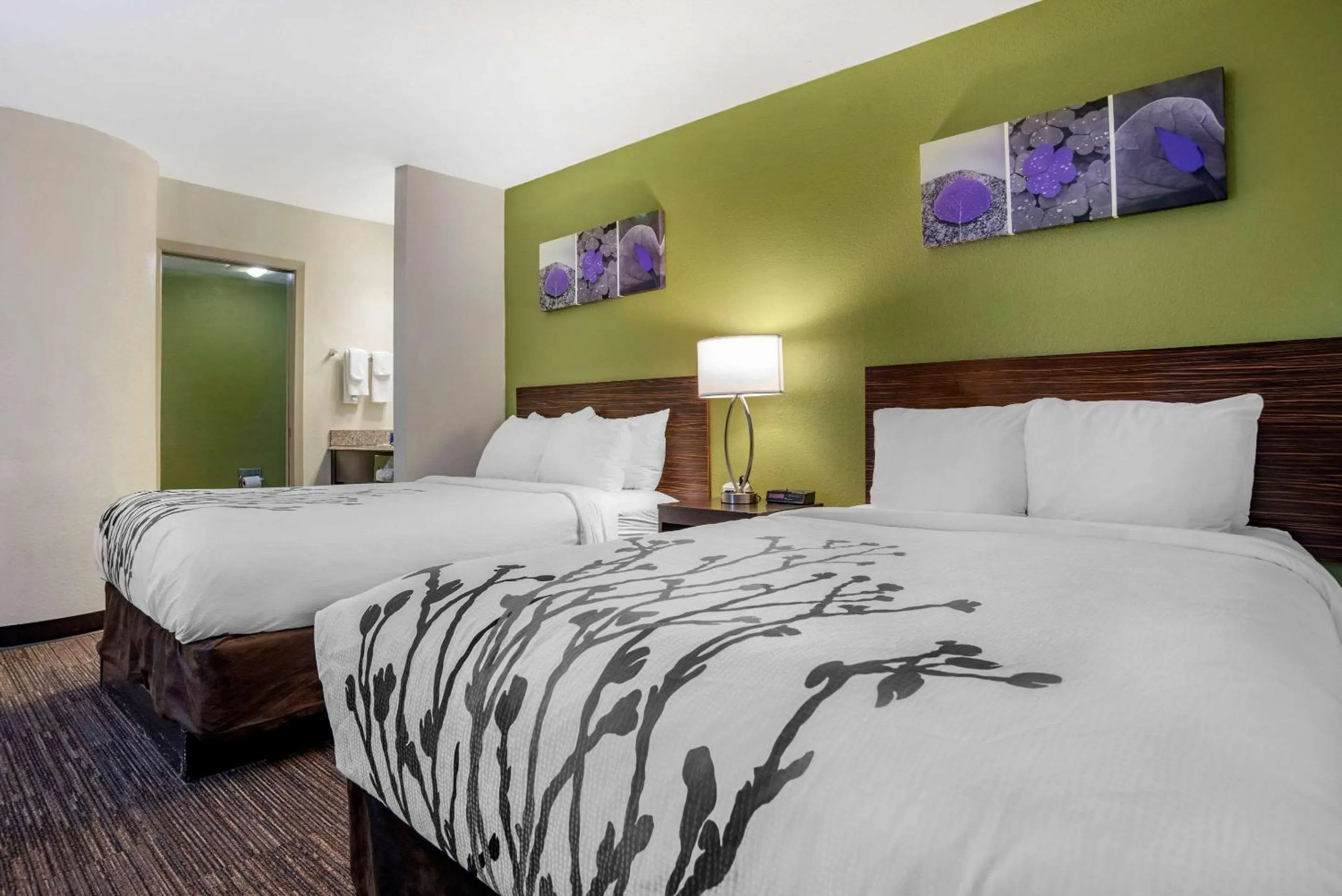 Photo of the whole room in Sleep Inn Destin near Miramar Beach