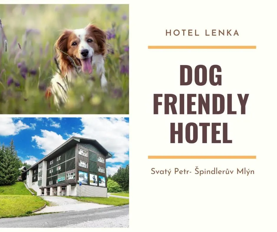 Pets in Hotel Lenka
