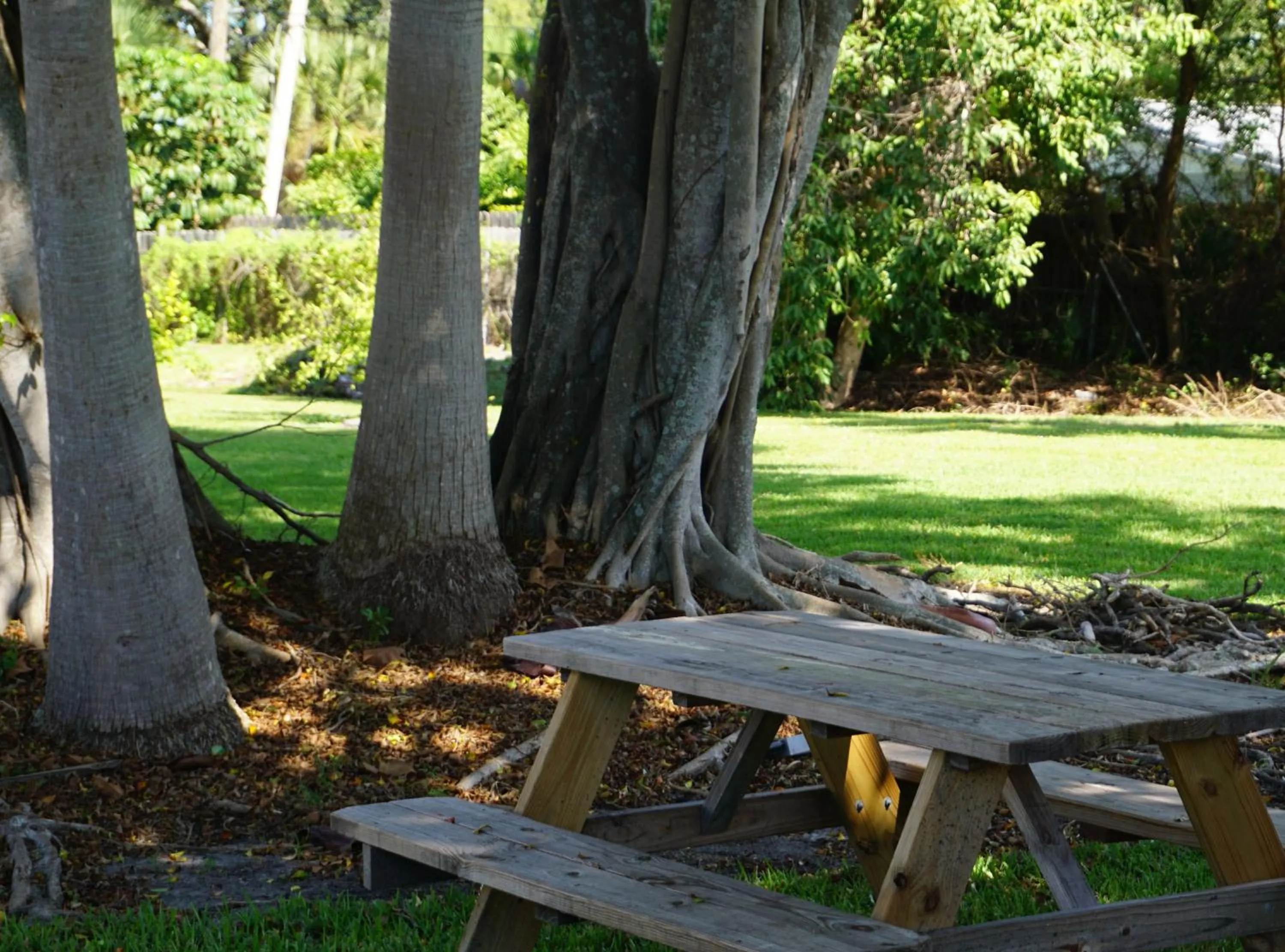BBQ facilities in ISLAND HOTEL of Space Coast