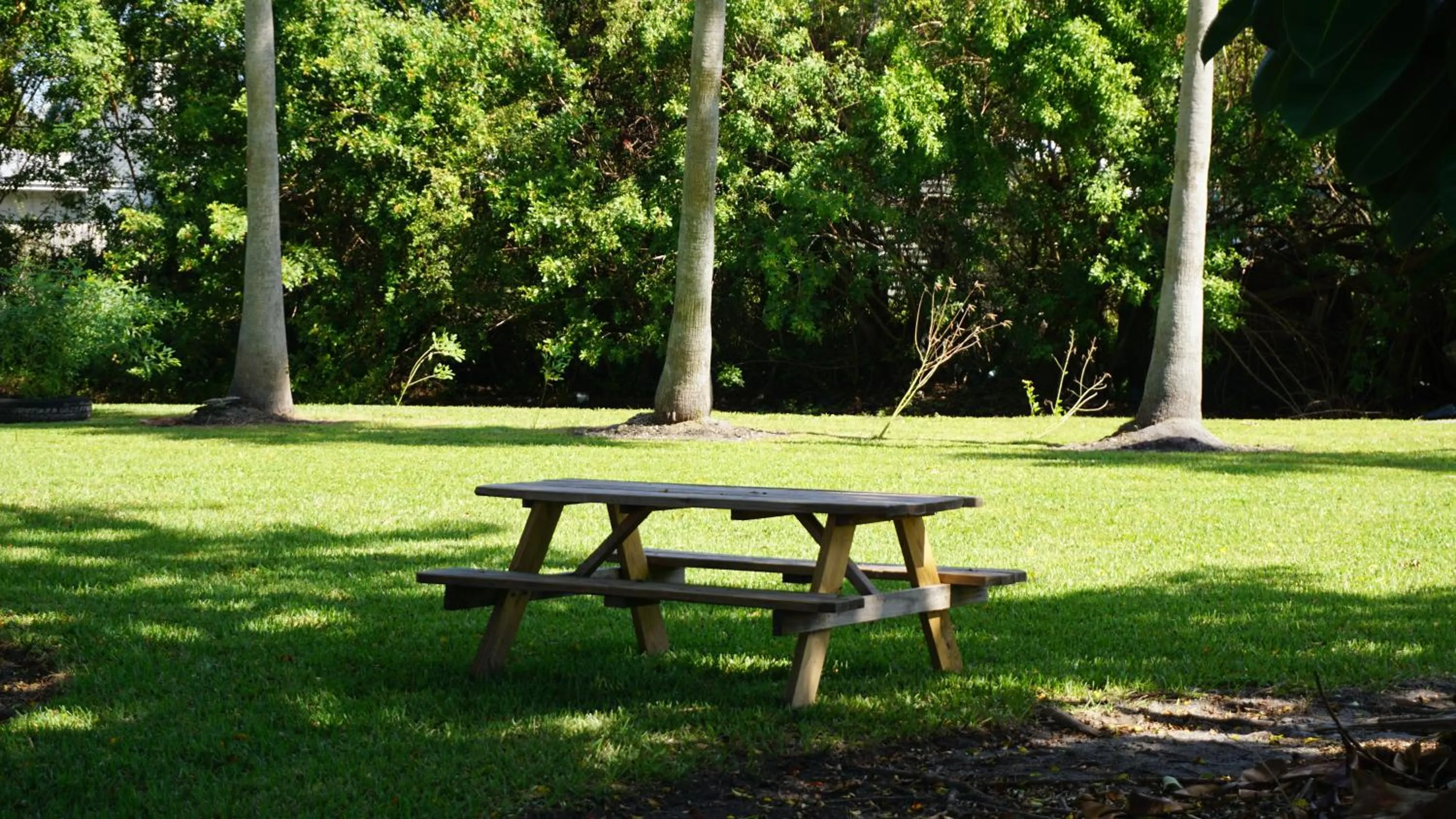 Garden in ISLAND HOTEL of Space Coast
