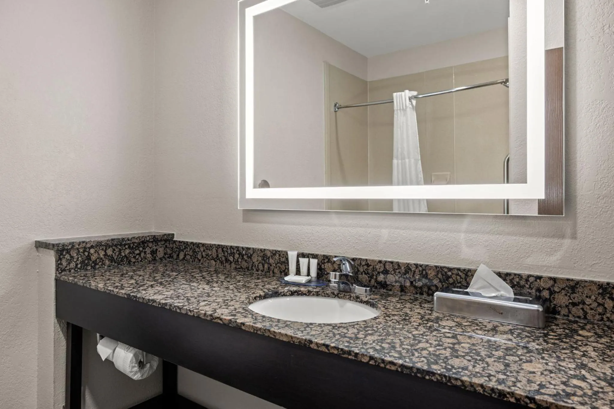 Bathroom in Clarion Pointe Lakeland I-4