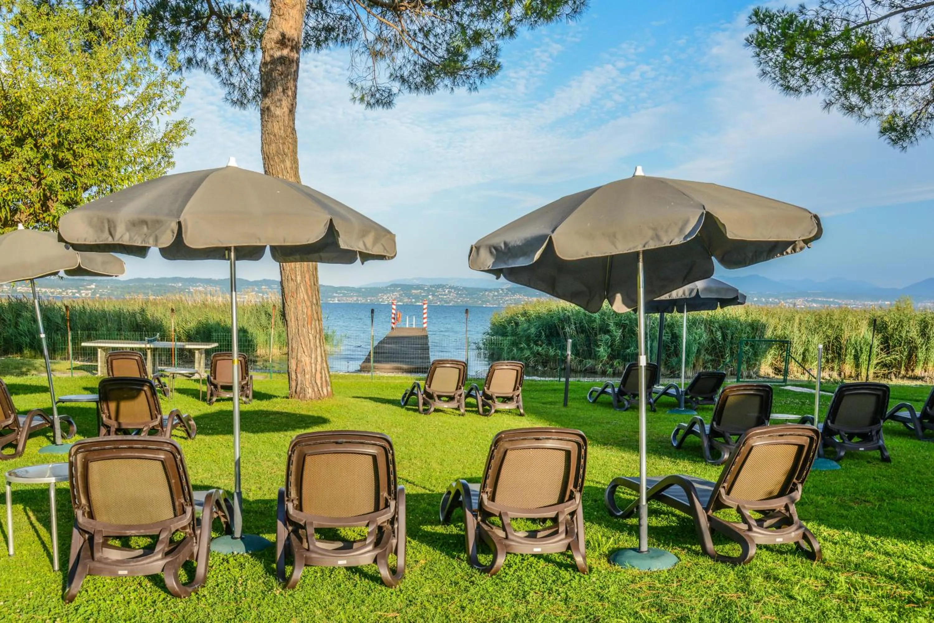 Garden in Hotel Miramar