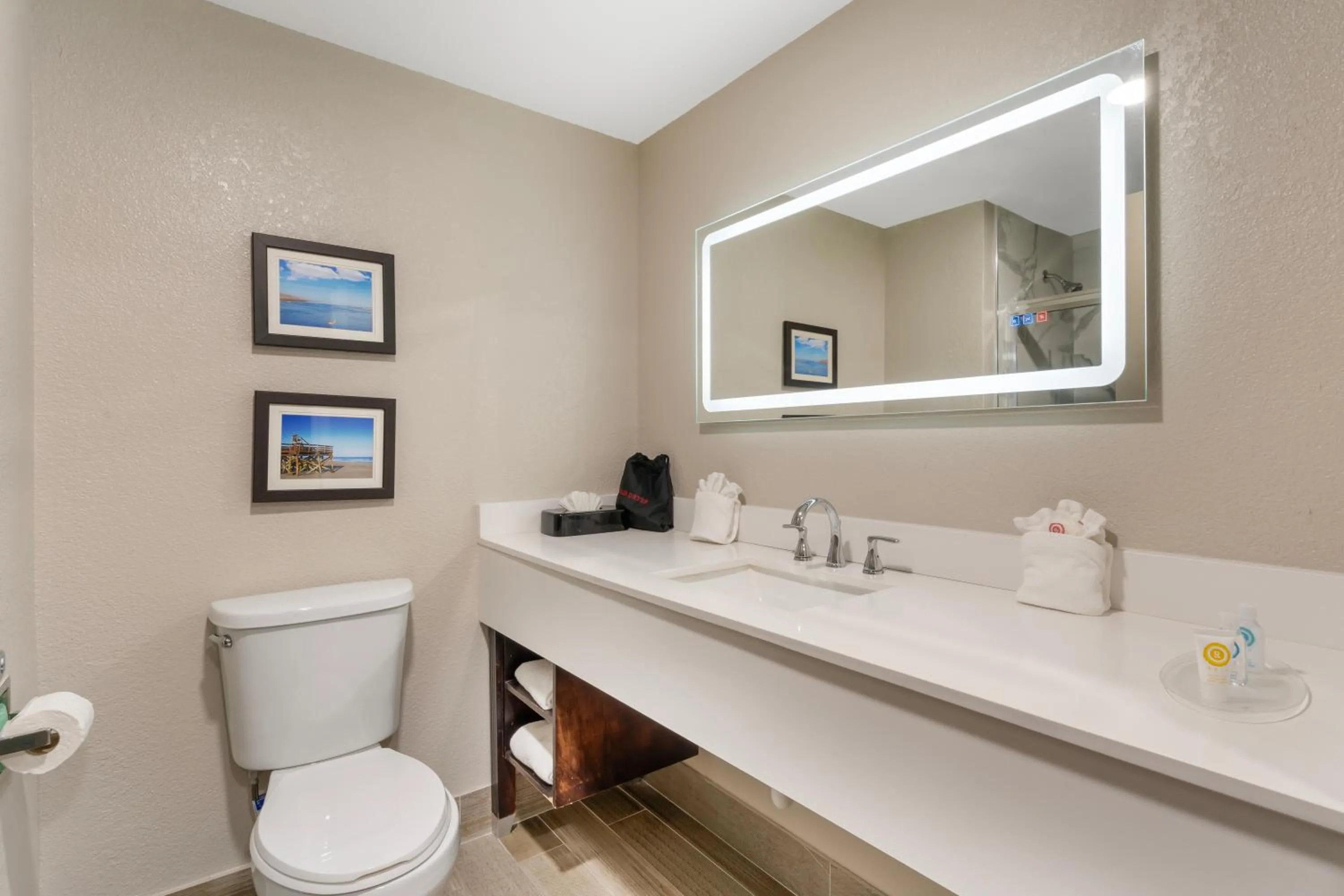 Bathroom in Comfort Suites West Jacksonville