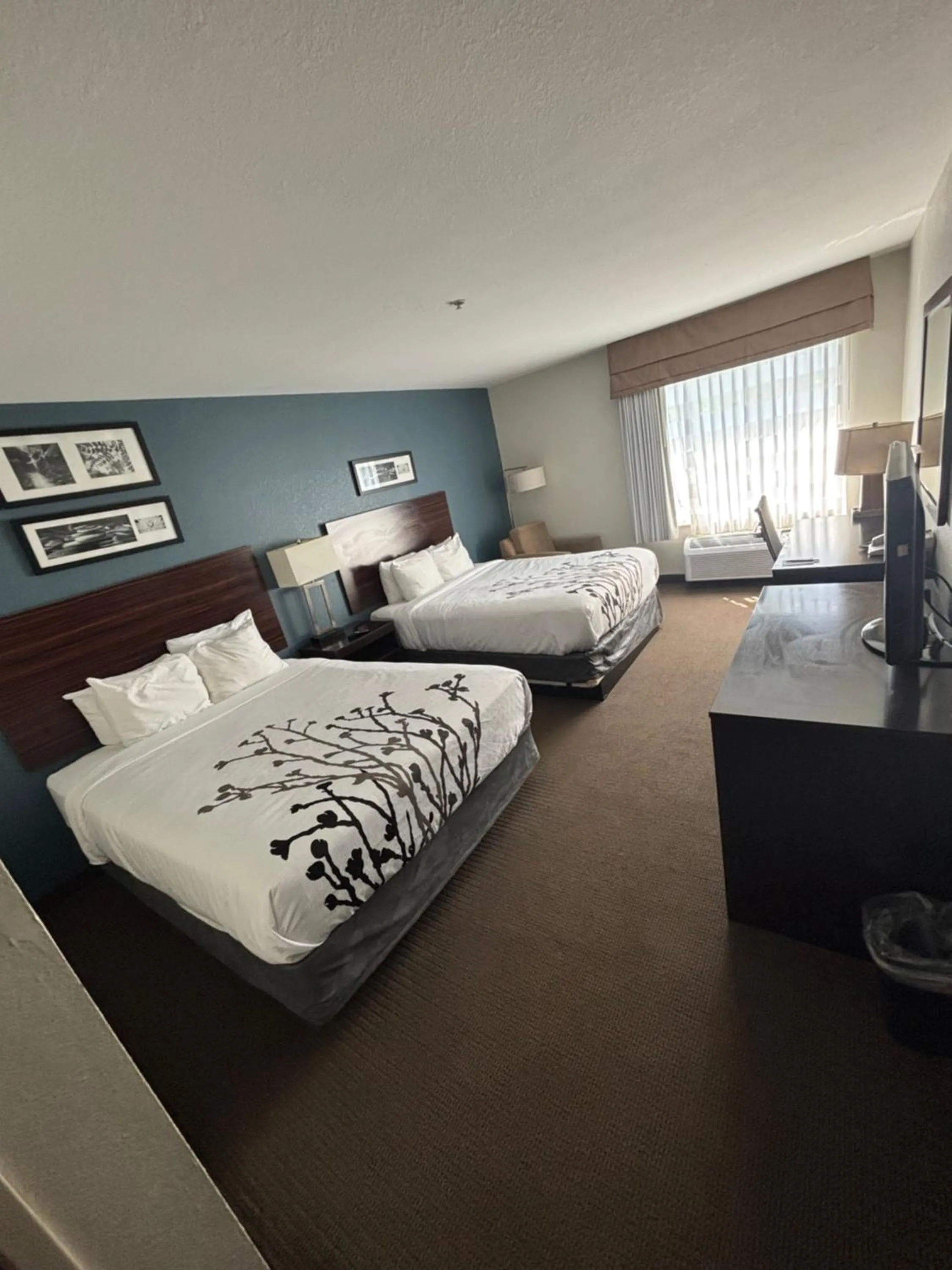 Sleep Inn & Suites Palatka North