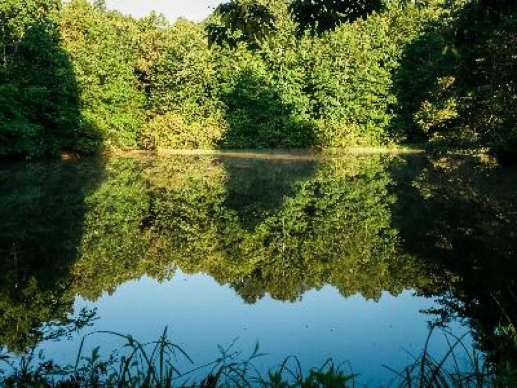 Other in A Mighty Oak B&B