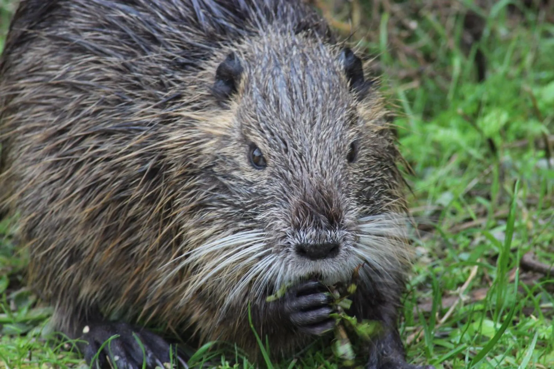 Lou Meinado, un concept "comme à l'hôtel"