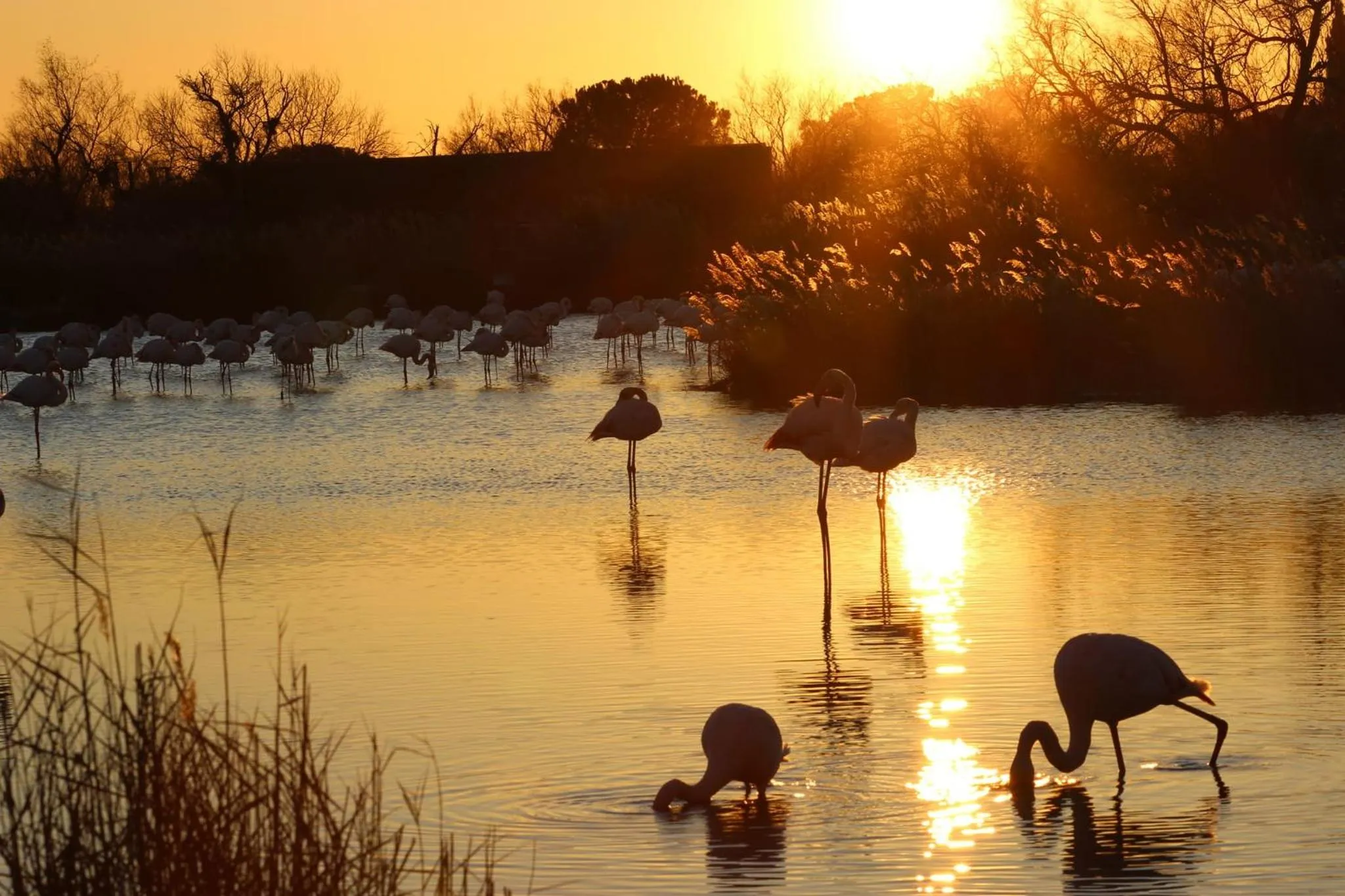 Lou Meinado, un concept "comme à l'hôtel"