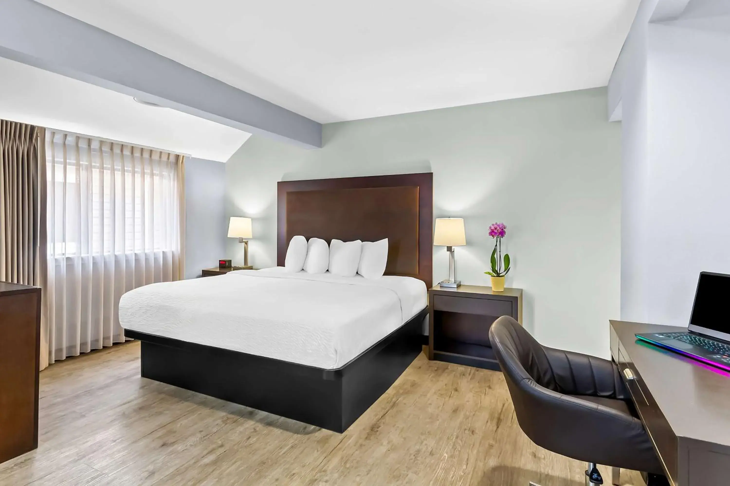 King Suite with Two King Beds and Sofa Bed in SureStay Studio by Best Western Pensacola King Suite with Two King Beds and Sofa Bed in SureStay Studio by Best Western Pensacola