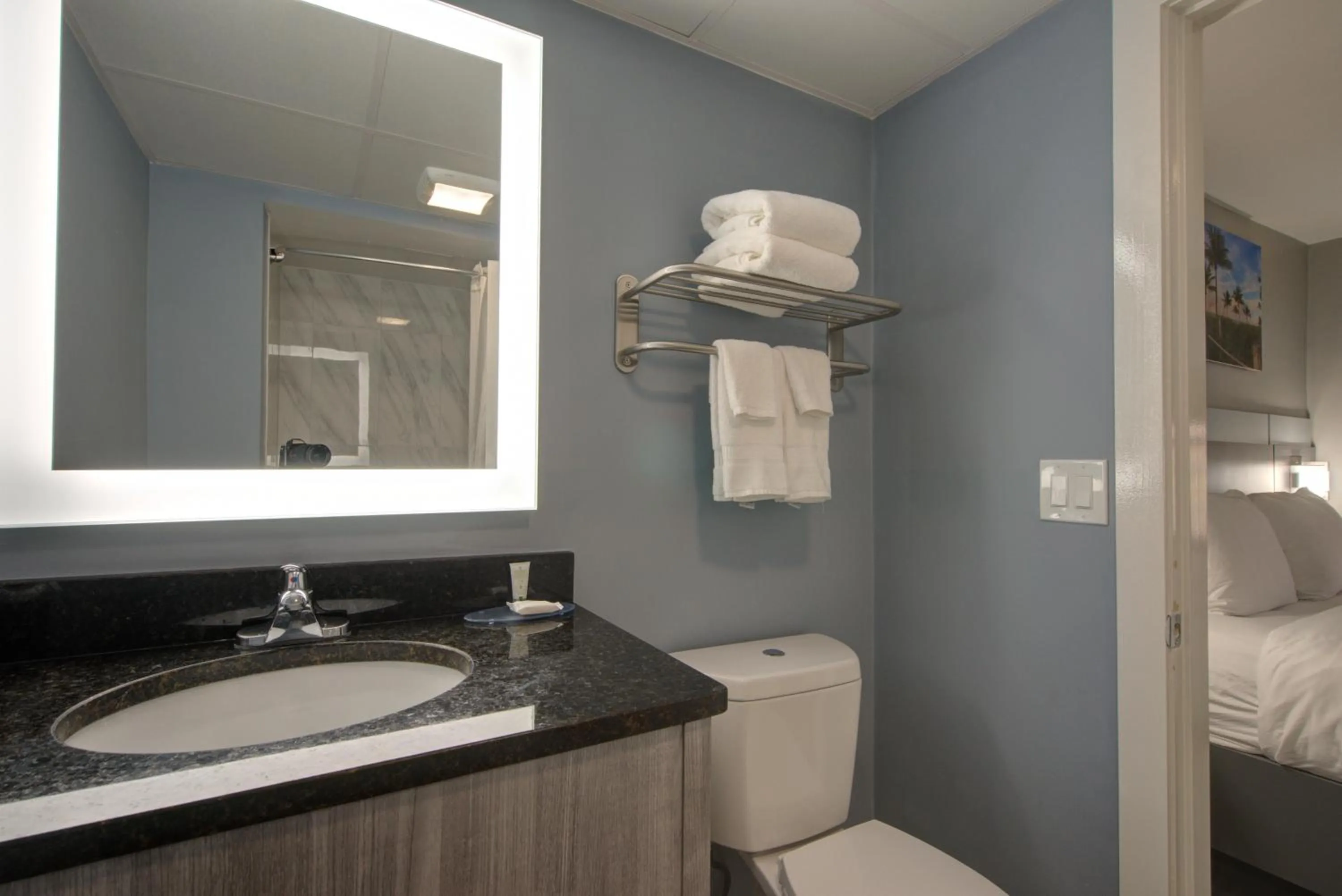 Bathroom in Clarion Pointe Tampa-Brandon Near Fairgrounds and Casino