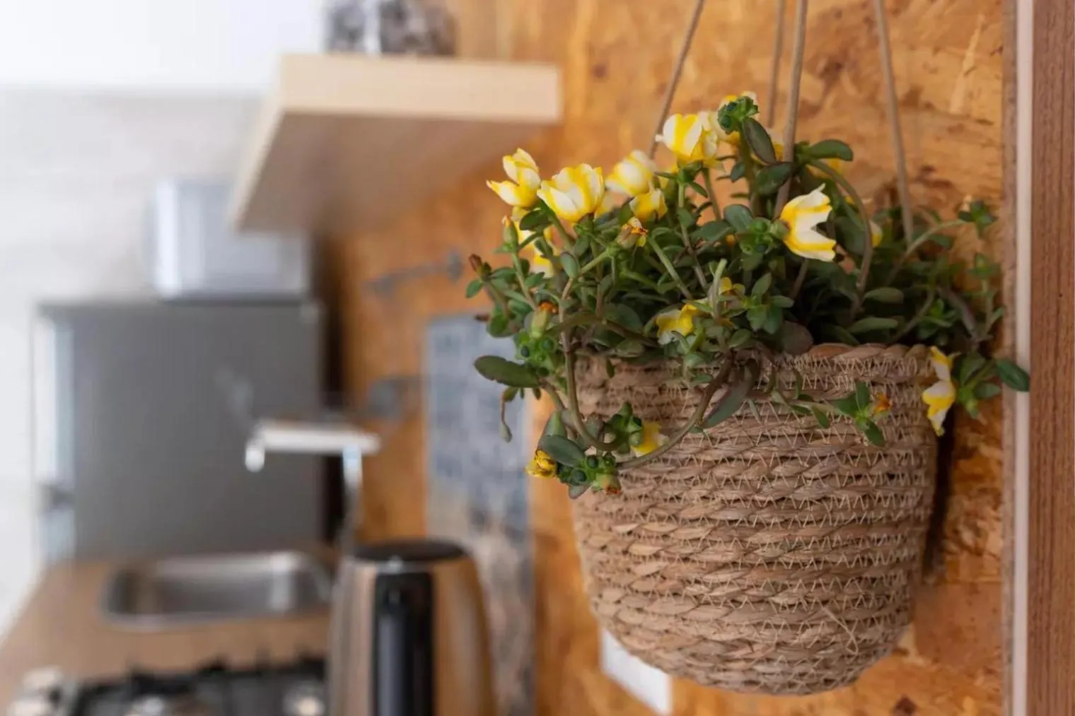 Kitchen or kitchenette in DOMUS