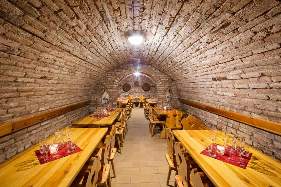 Spa and wellness centre/facilities in Wine Wellness Hotel Amande Hustopeče