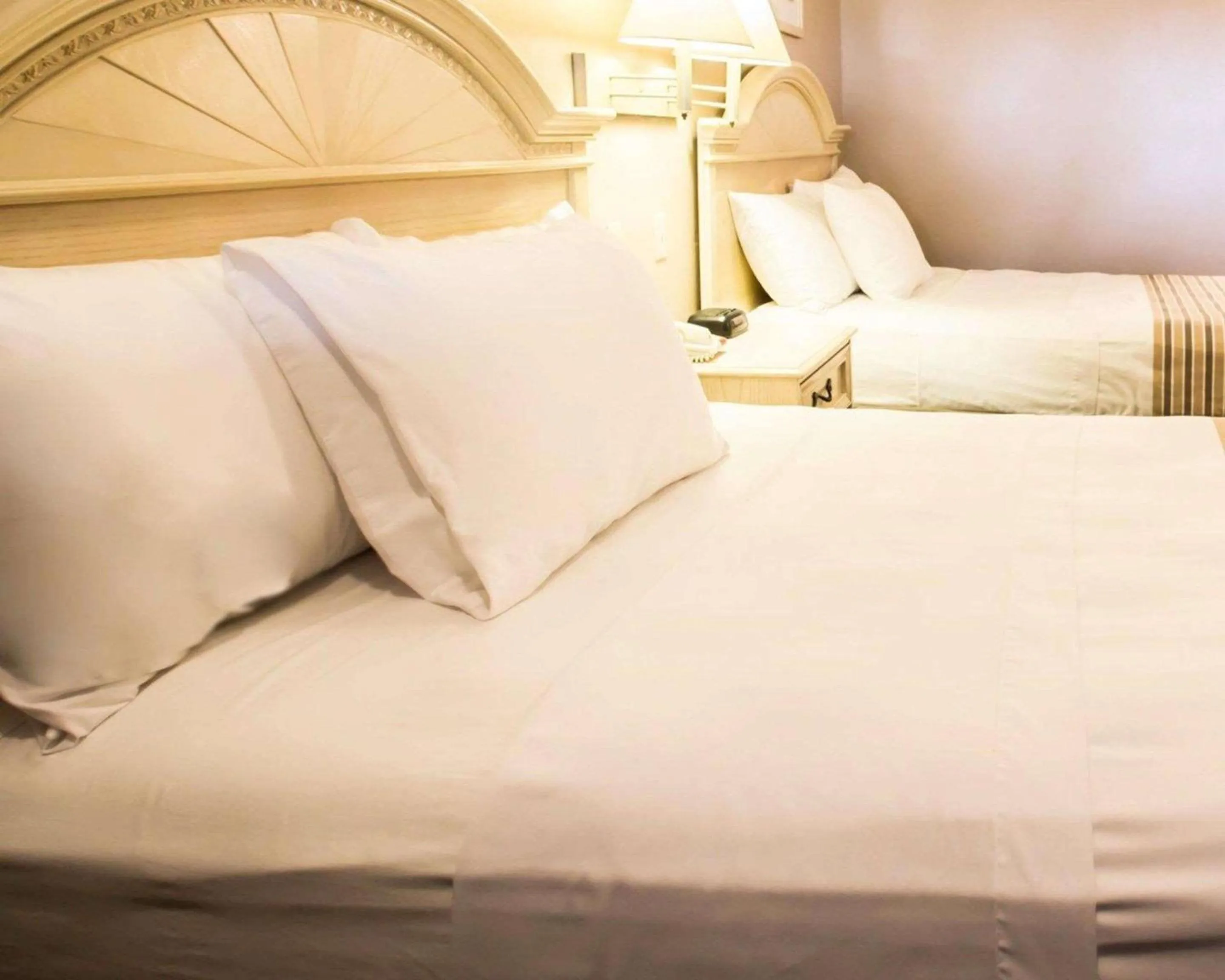 Photo of the whole room, Bed in Rodeway Inn Apopka South