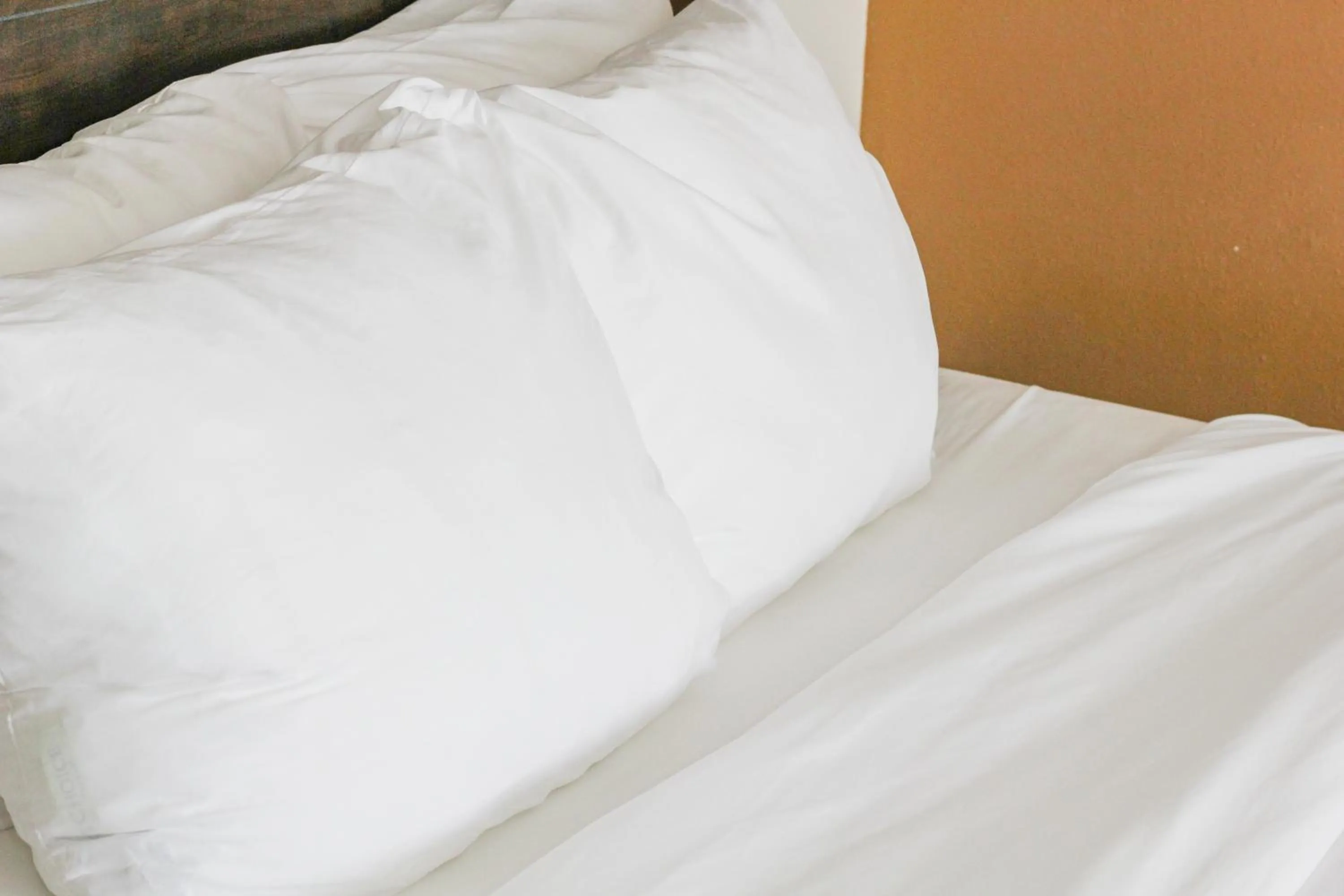 Bedroom, Bed in Quality Inn Conference Center at Citrus Hills