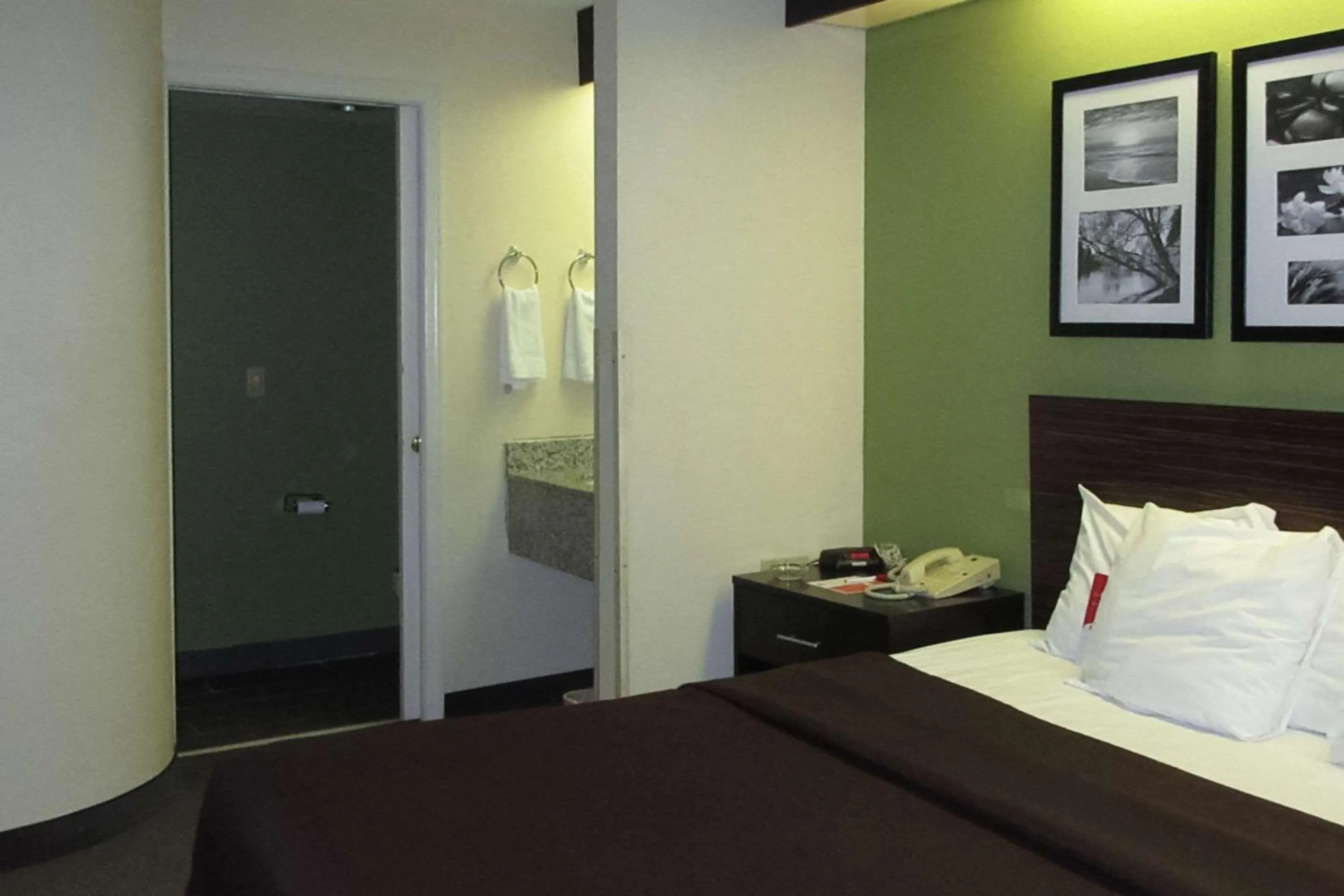 Photo of the whole room, Bed in Rodeway Inn Albany South