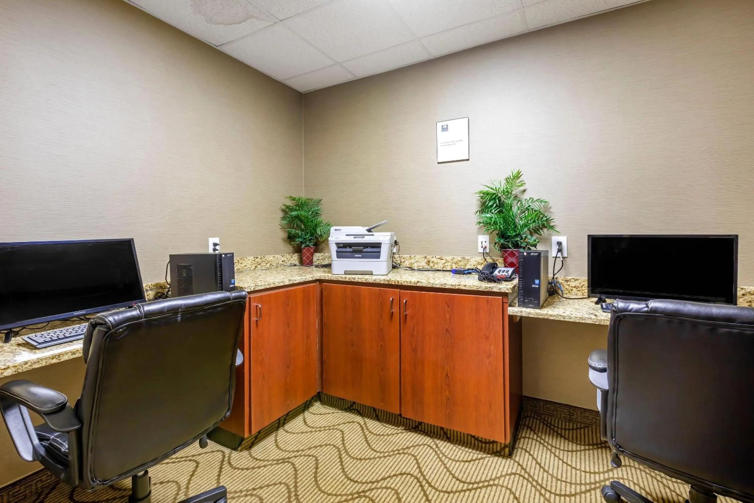 Business facilities in Comfort Inn & Suites Peachtree Corners - Norcross