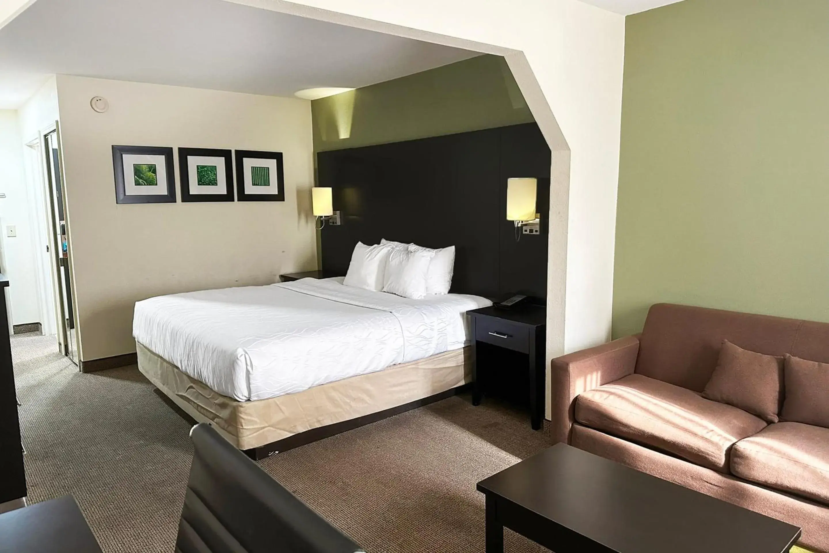 Suite - King Bed in OYO Hotel Rome West GA Suite - King Bed in OYO Hotel Rome West GA