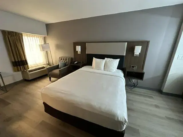 Queen Room - Accessible/Nonsmoking in Comfort Inn Conyers Queen Room - Accessible/Nonsmoking in Comfort Inn Conyers