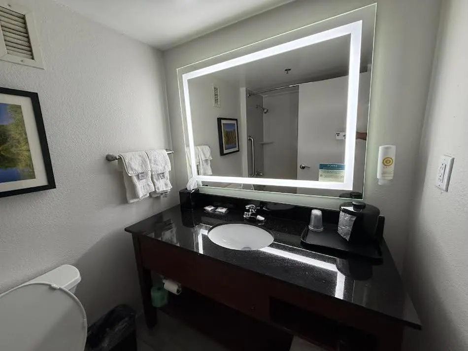 Bathroom in Comfort Inn Conyers