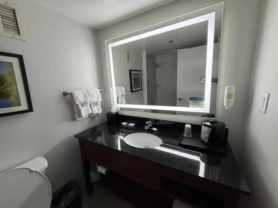 King Room - Non-Smoking in Comfort Inn Conyers King Room - Non-Smoking in Comfort Inn Conyers