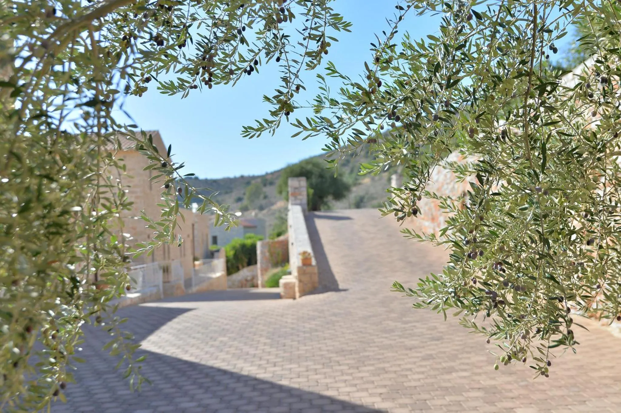 Day in Akrolithi Boutique Hotel & Suites